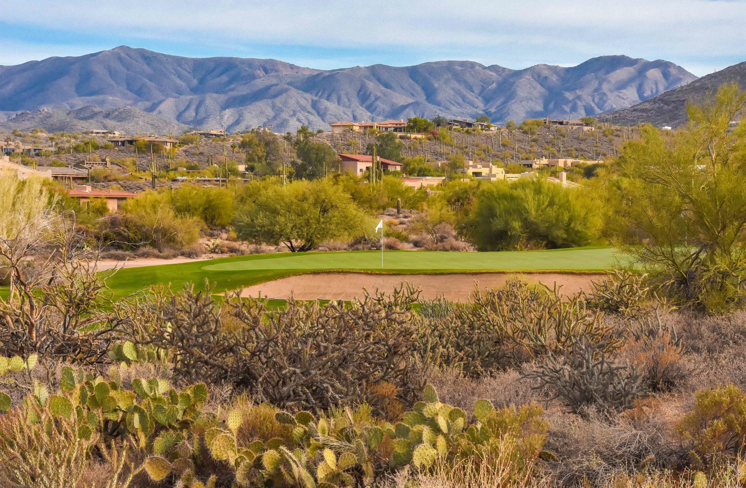 Desert Forest Golf Club1-4.jpg