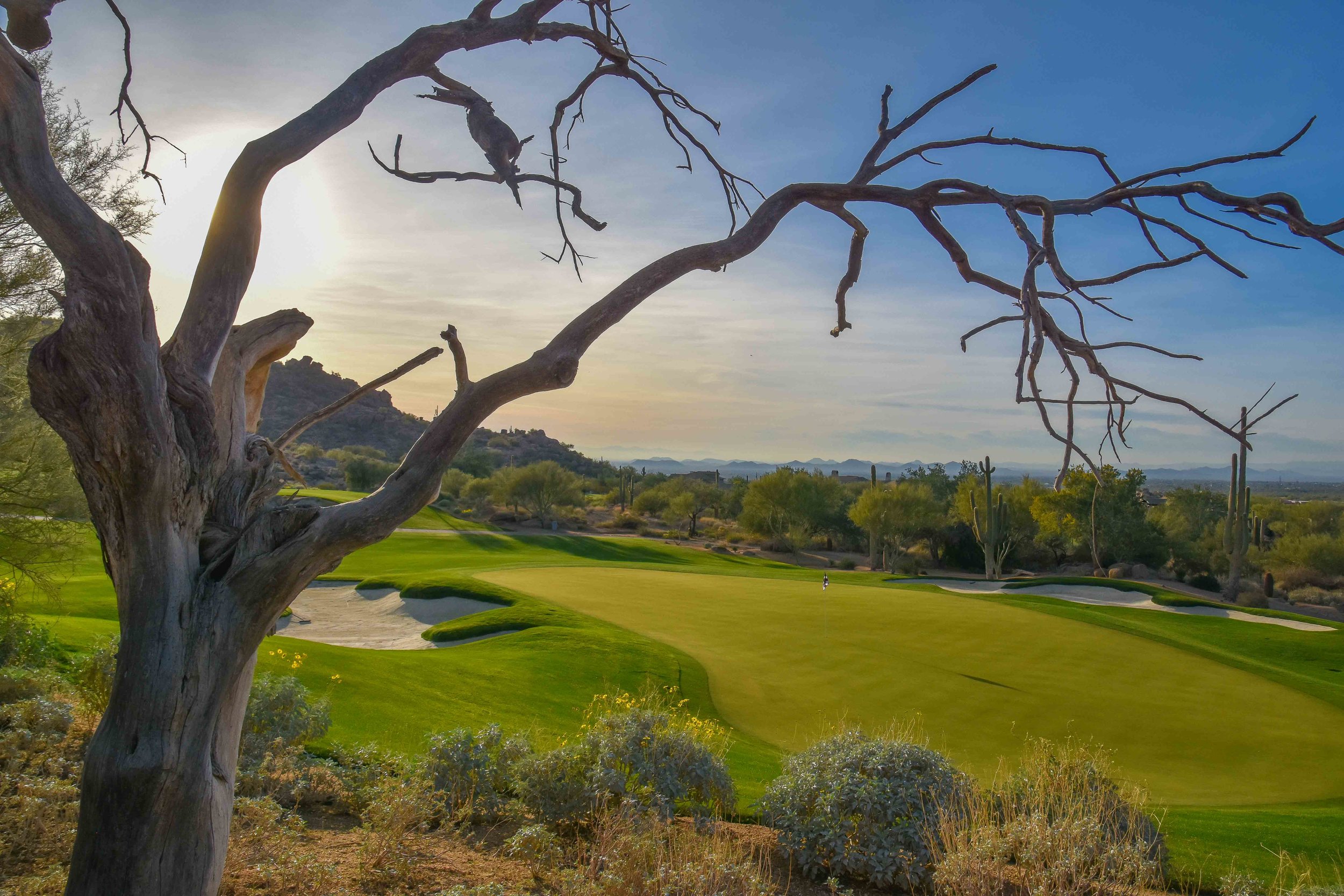 Looking back on the 12th hole