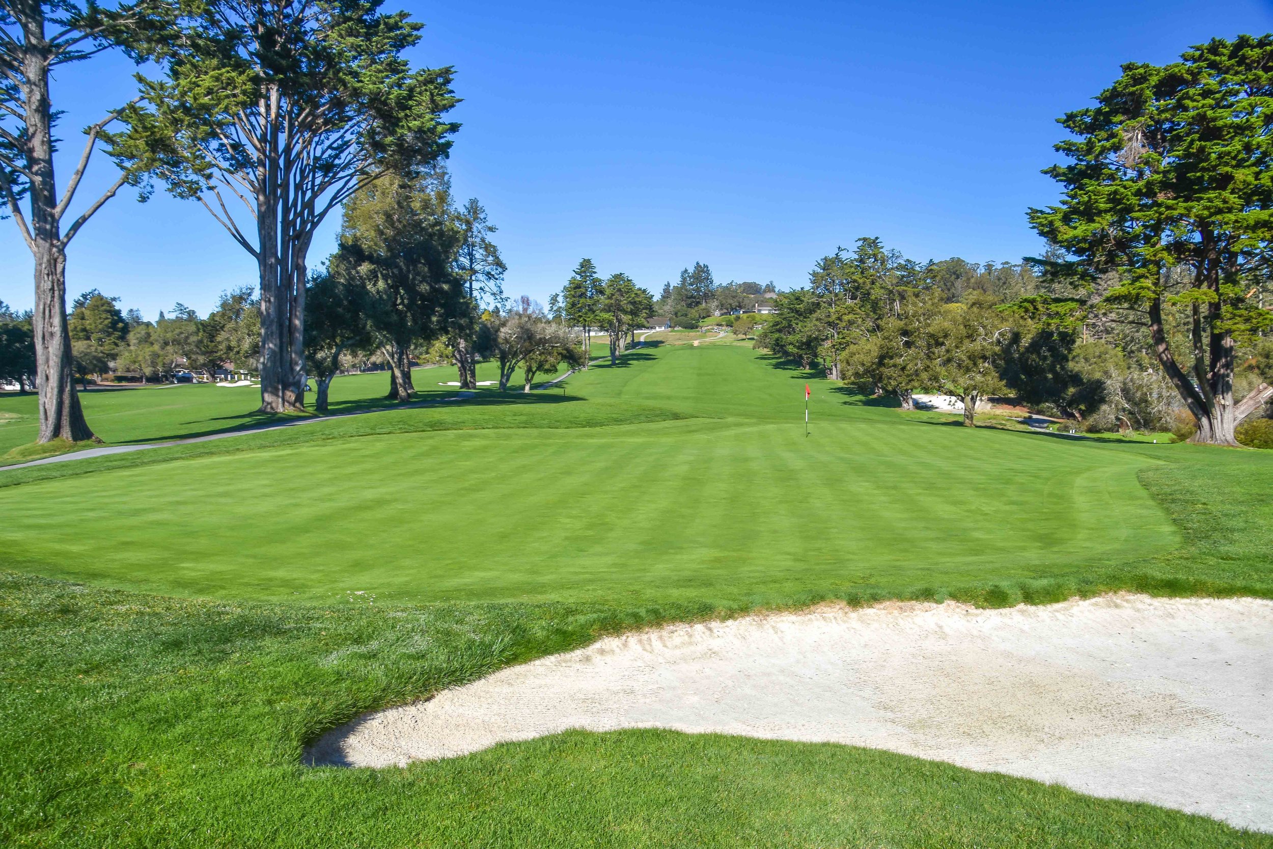 Pasatiempo1-8.jpg