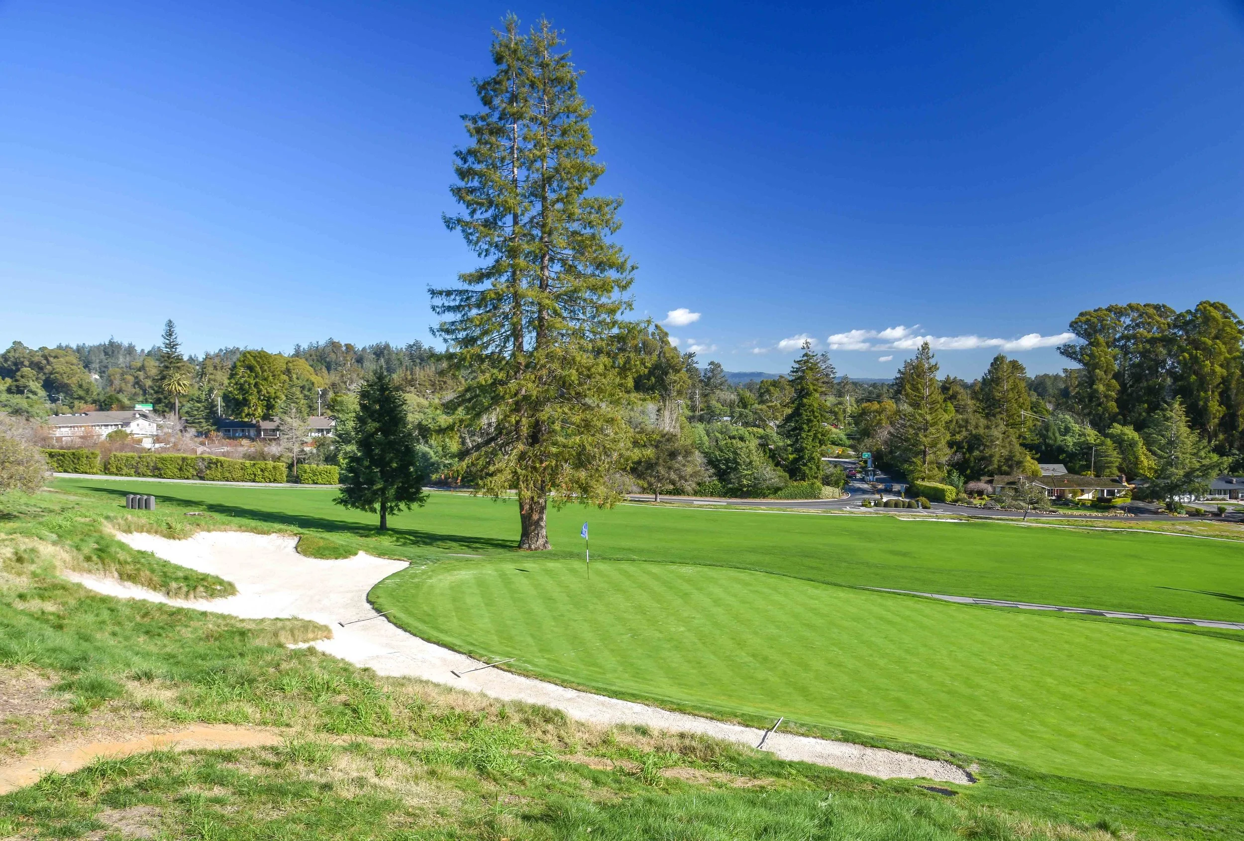Pasatiempo1-15.jpg