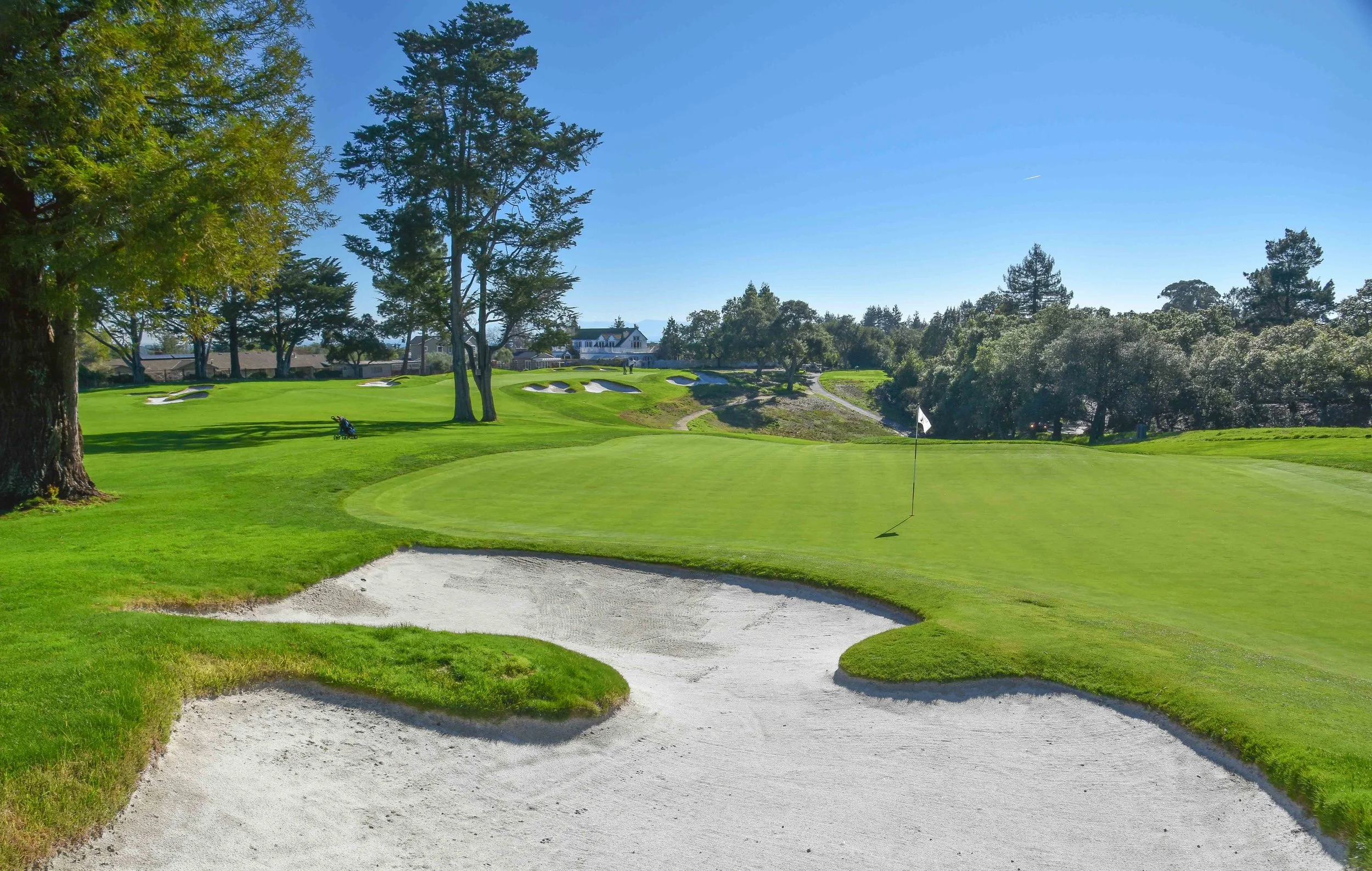 Pasatiempo1-24.jpg
