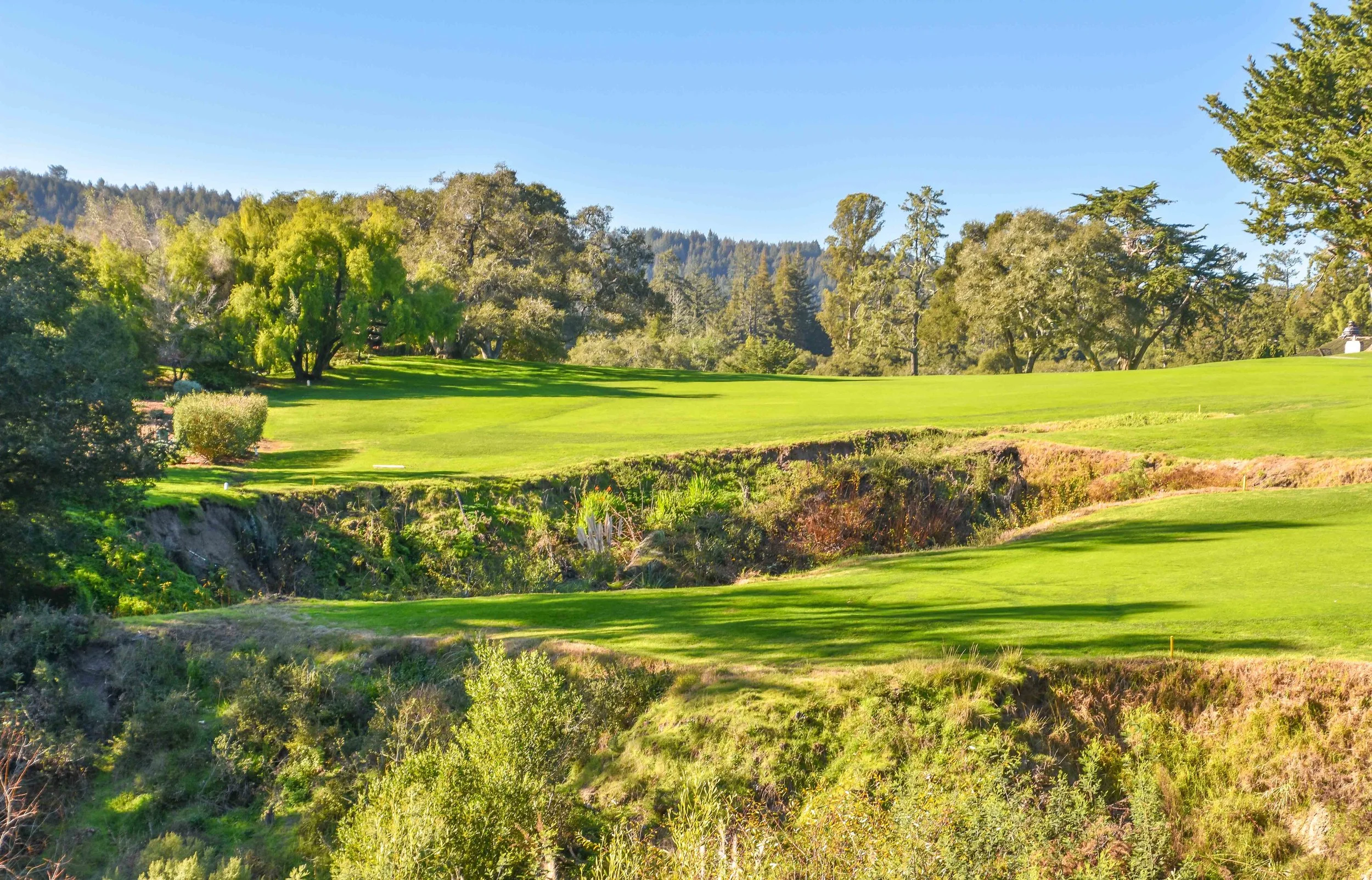 Pasatiempo1-39.jpg