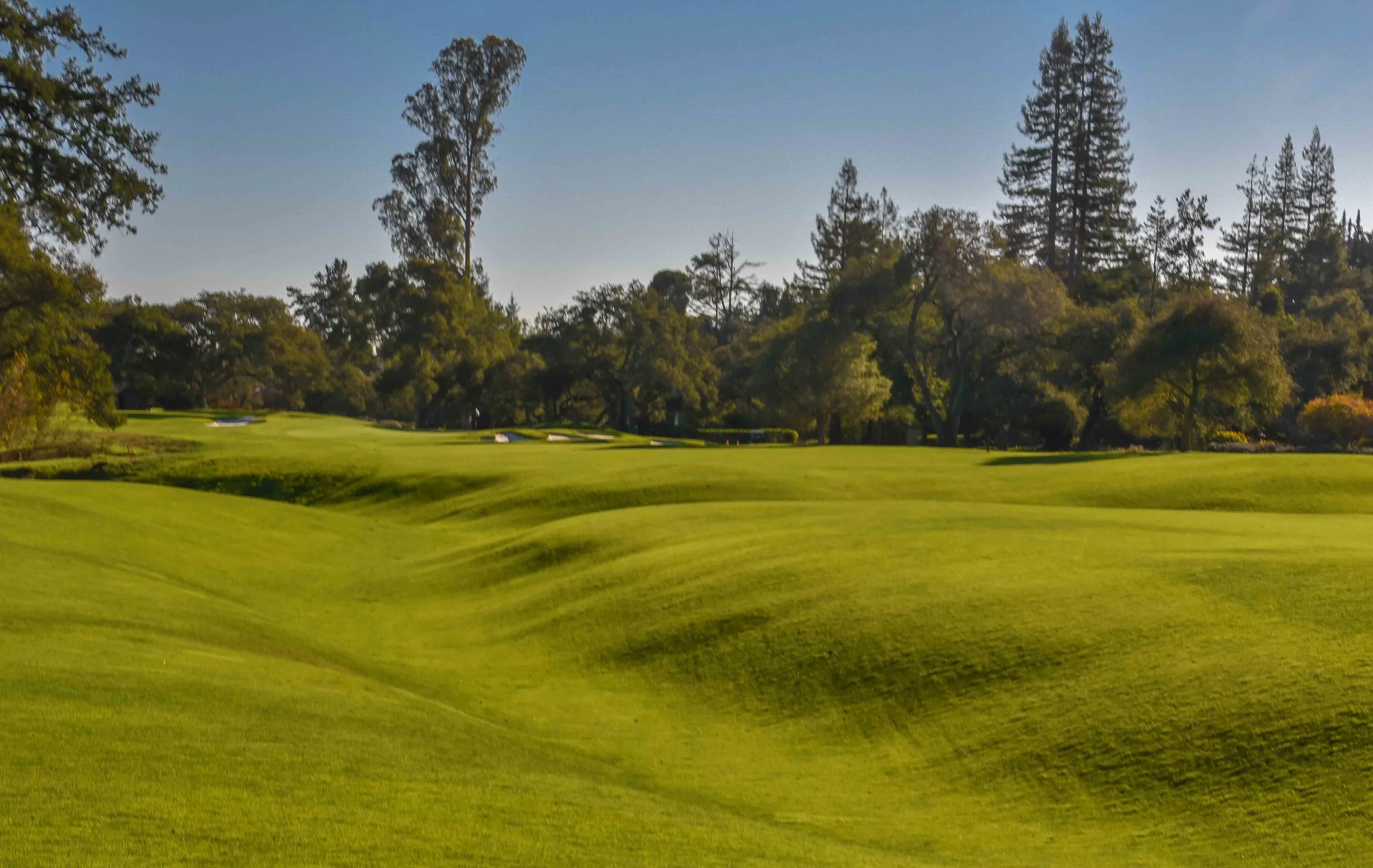 Pasatiempo1-56.jpg