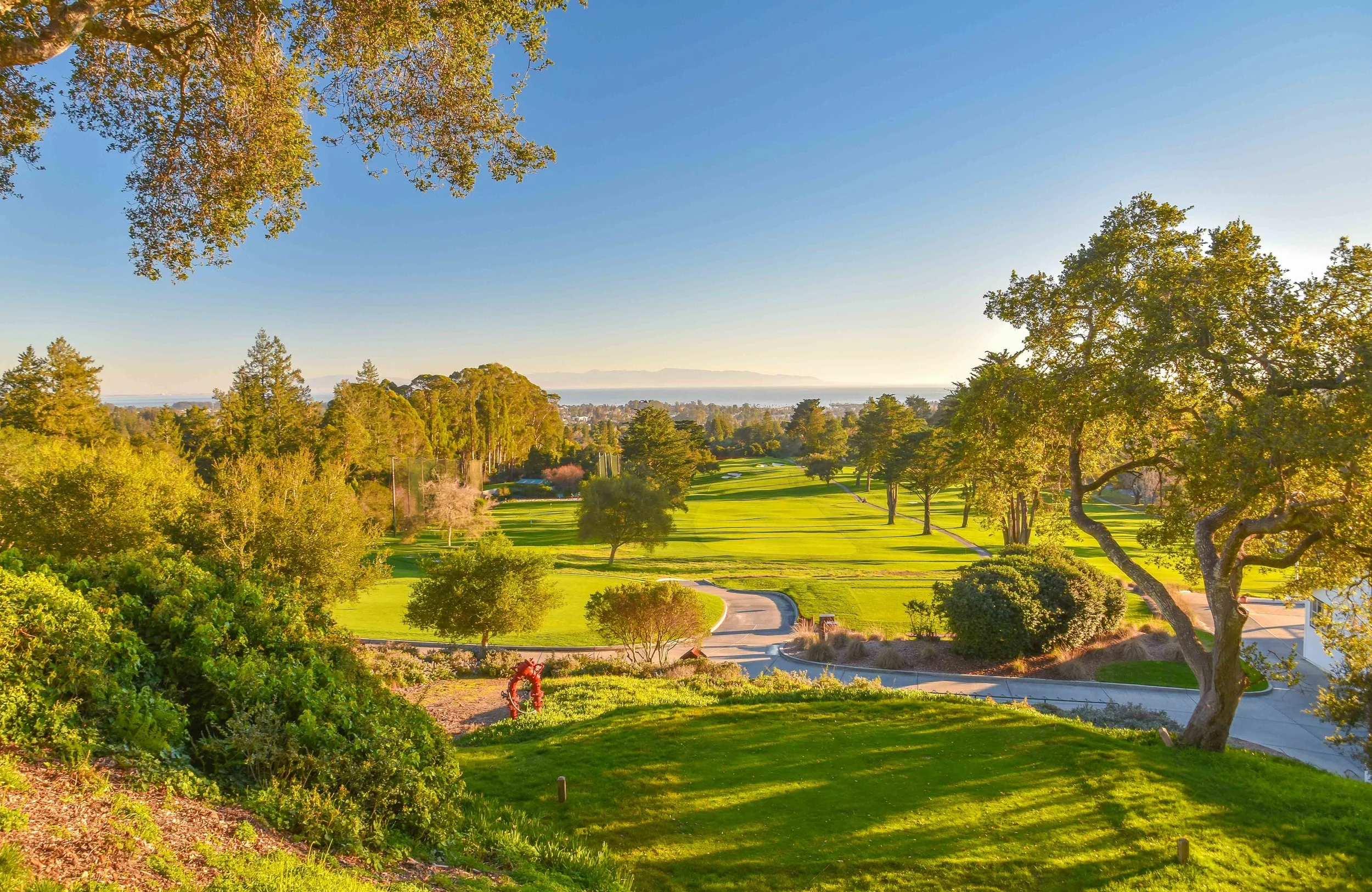 Pasatiempo1-88.jpg