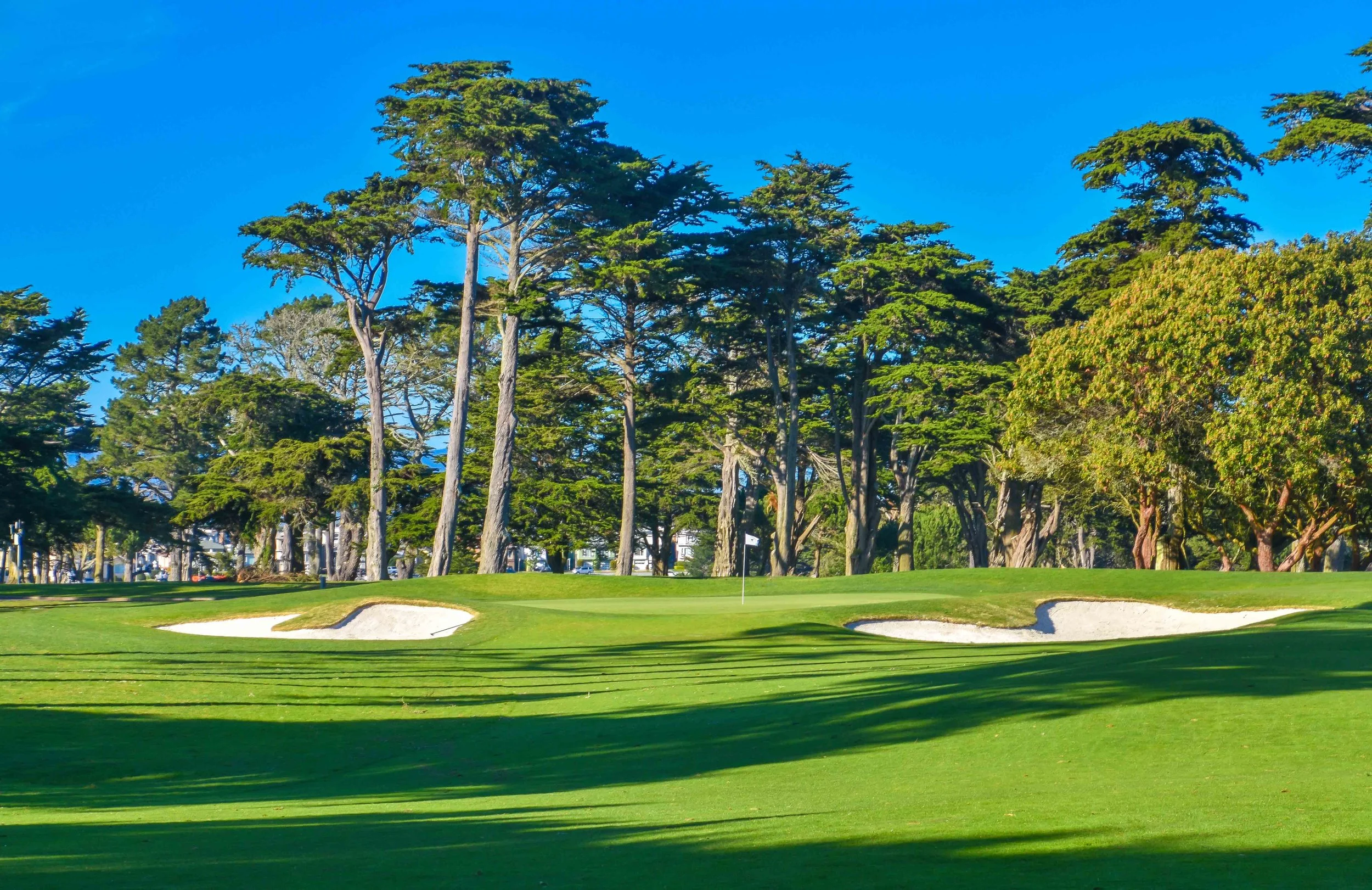 Harding Park1-2.jpg