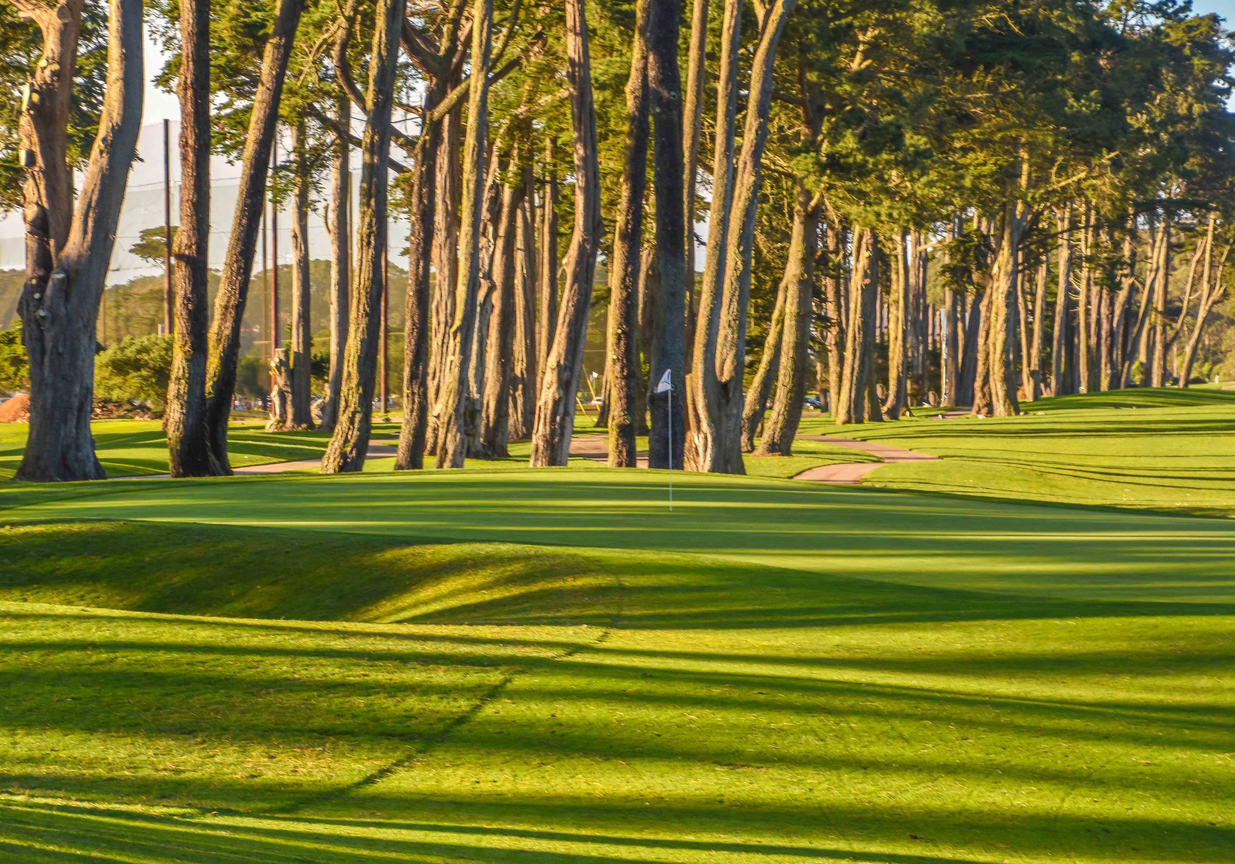 Harding Park1-9.jpg