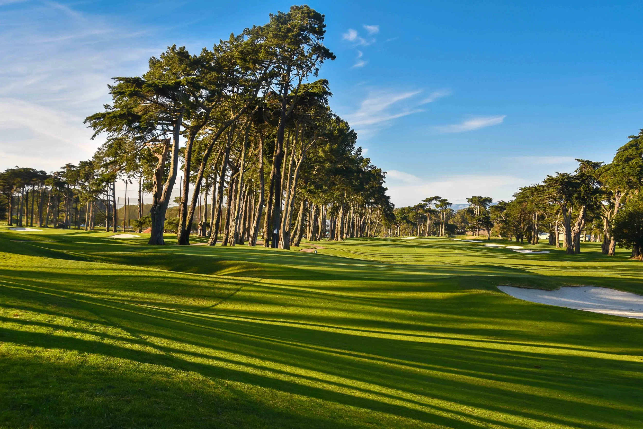 Harding Park1-10.jpg
