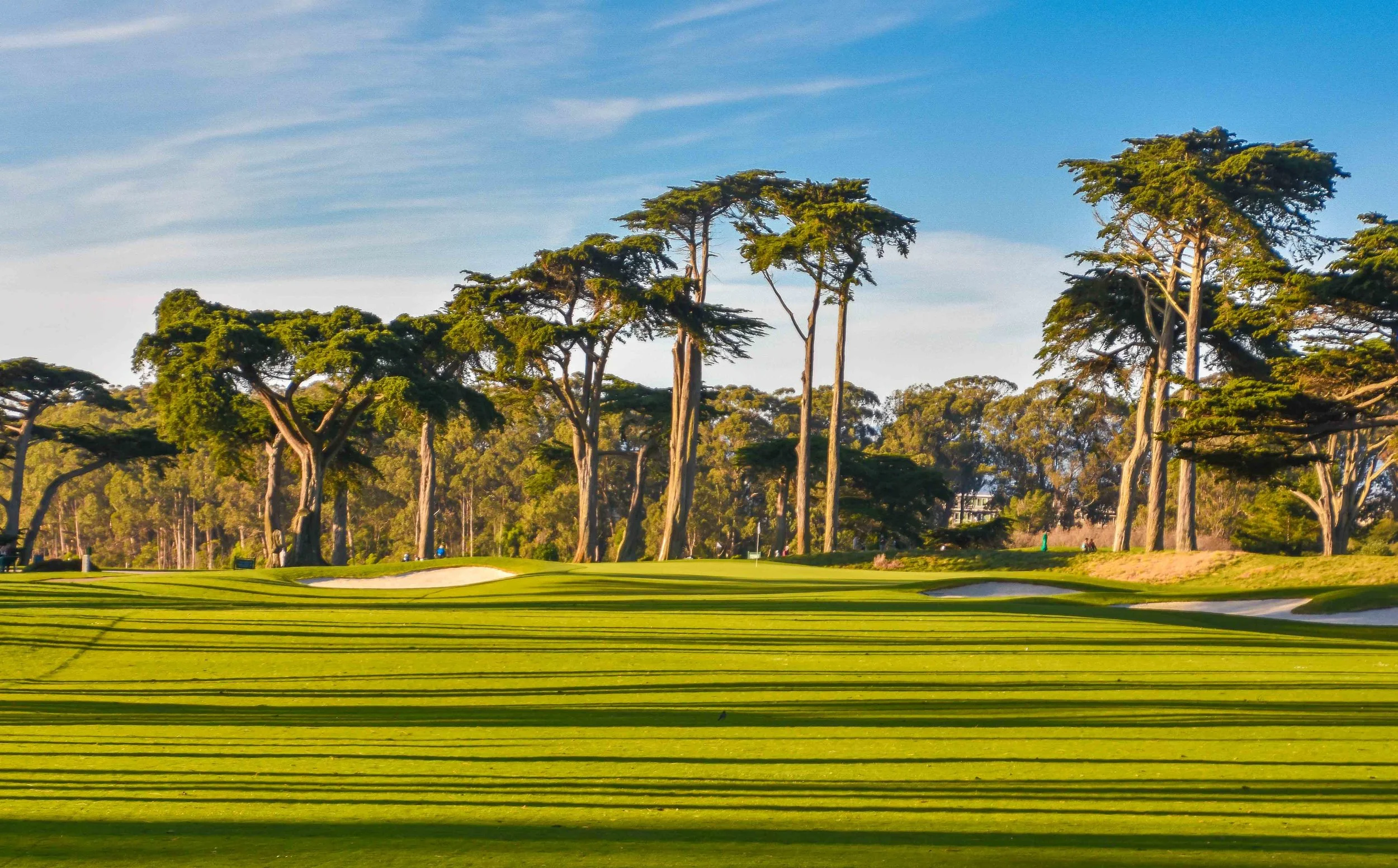 Harding Park1-12.jpg
