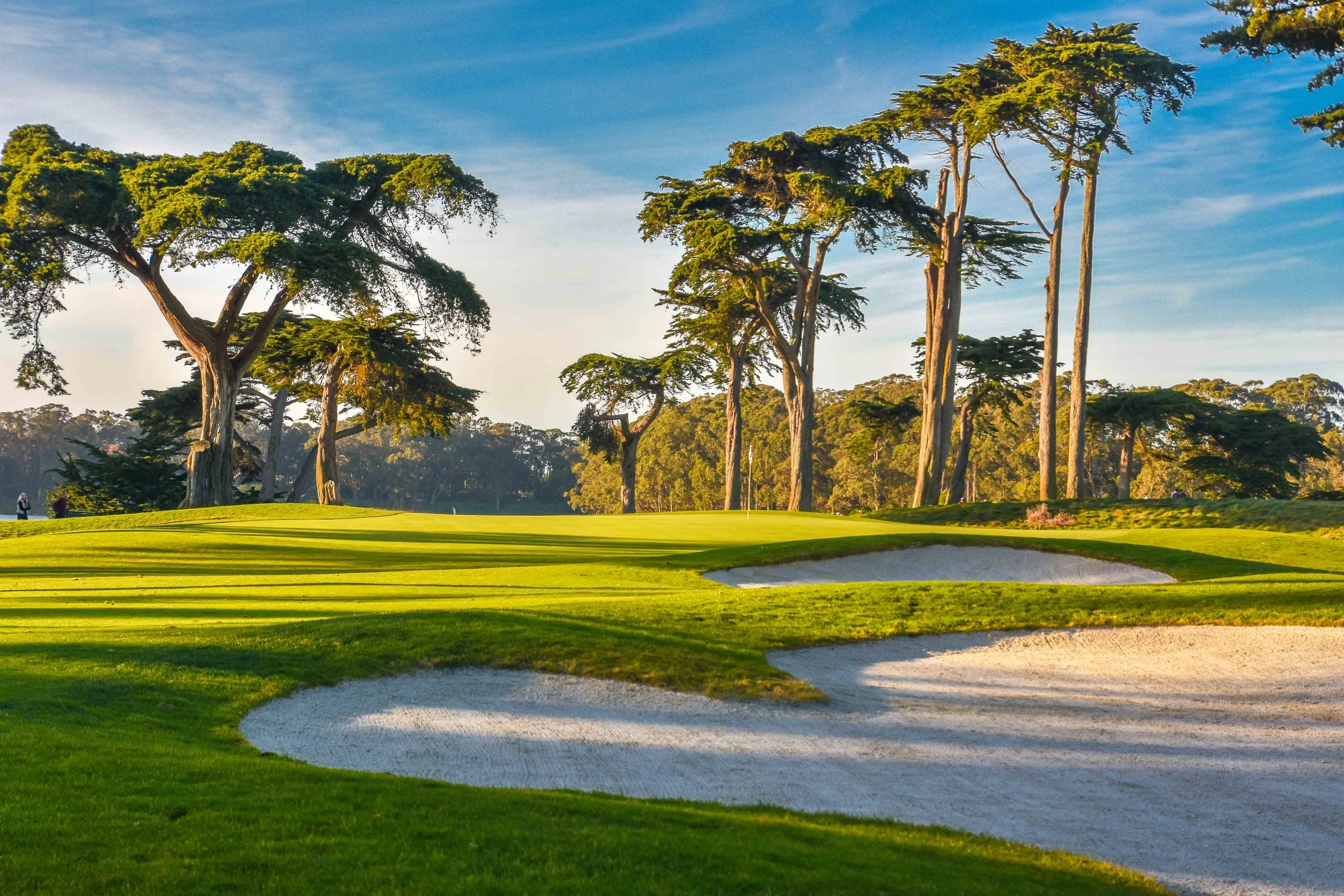 Harding Park1-13.jpg