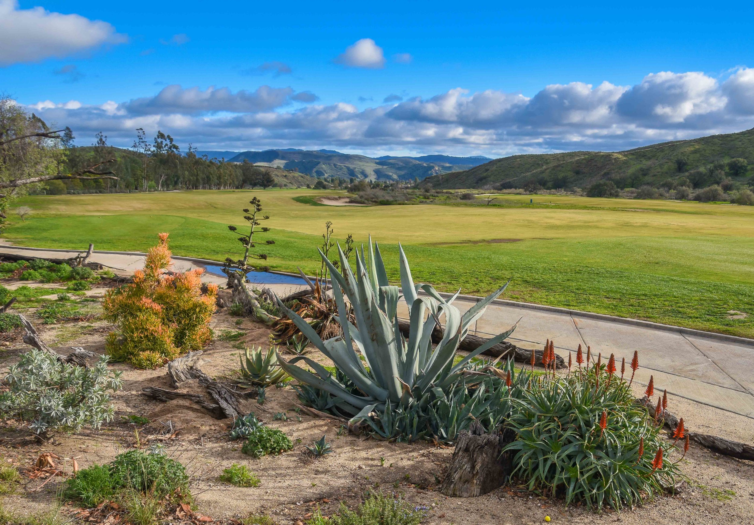 Rustic Canyon Golf Club1-92.jpg