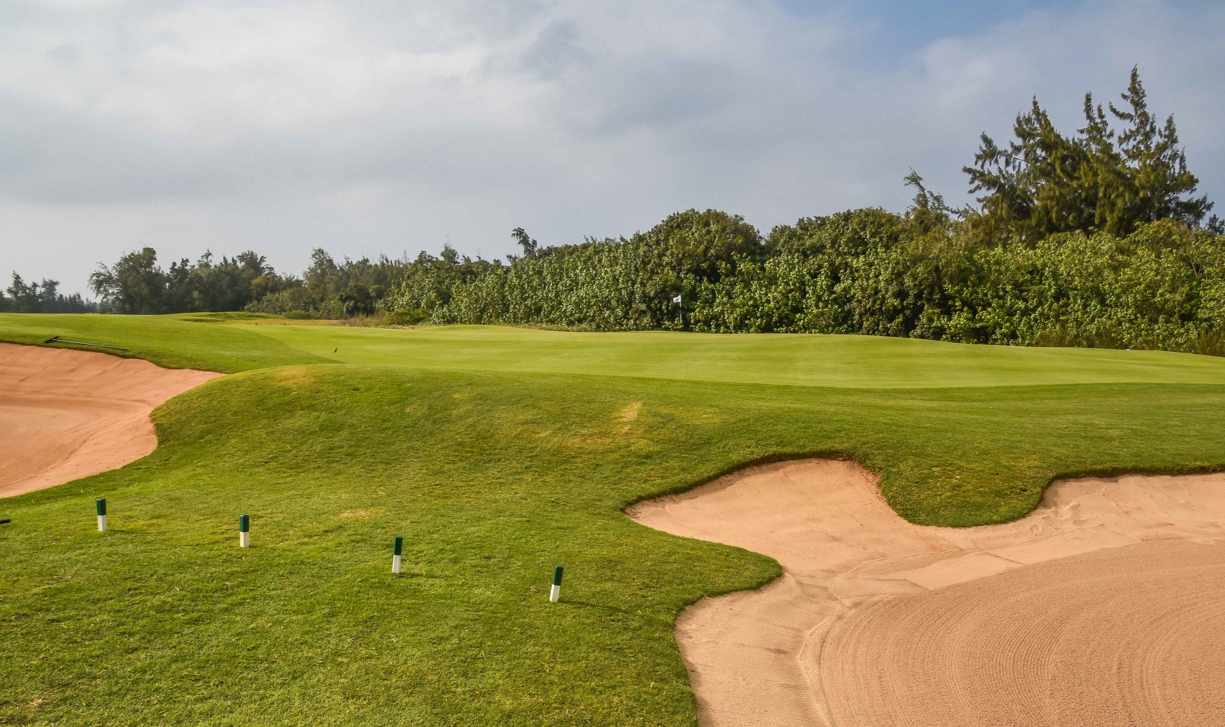 Turtle Bay - Palmer1-7.jpg