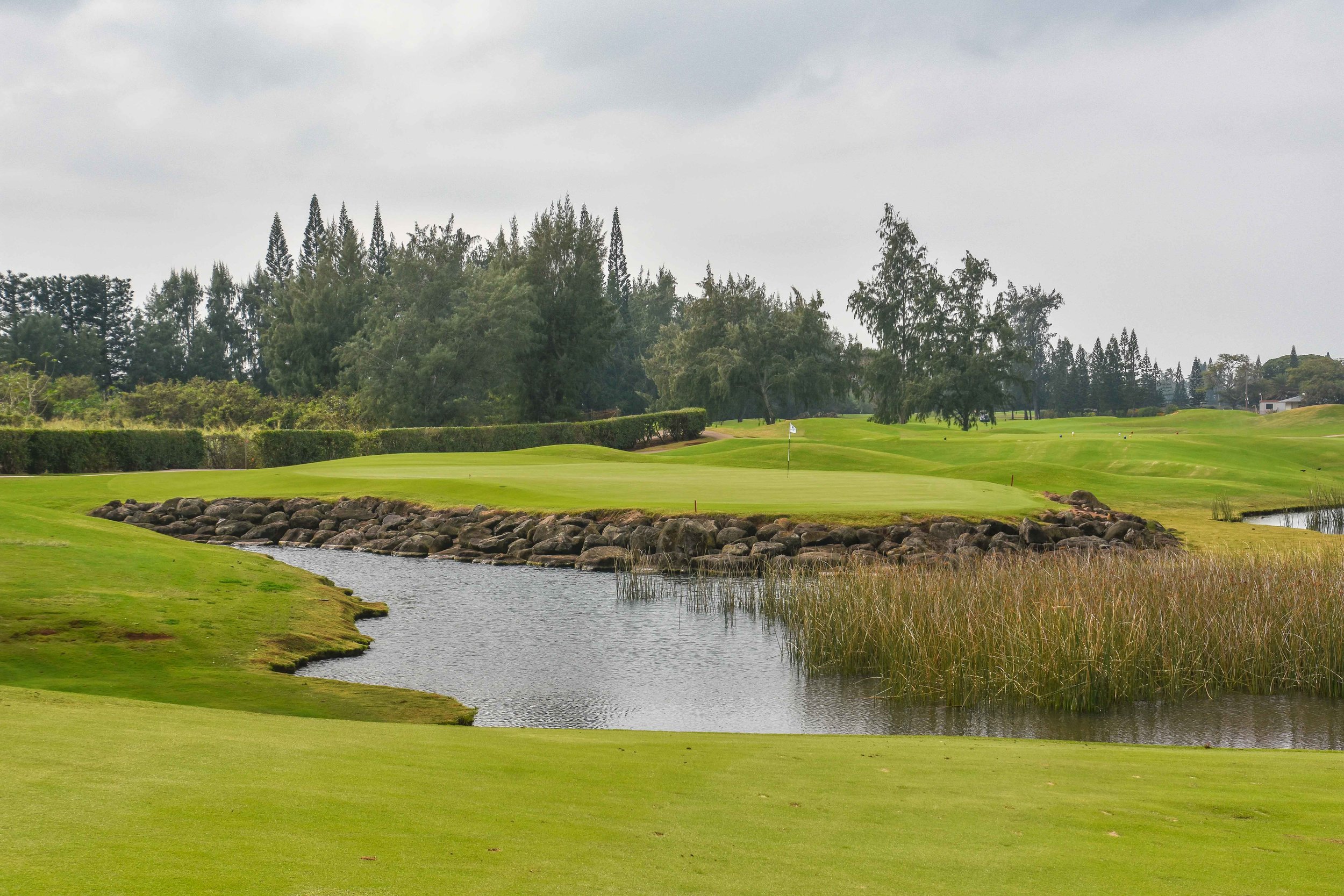Turtle Bay - Palmer1-8.jpg