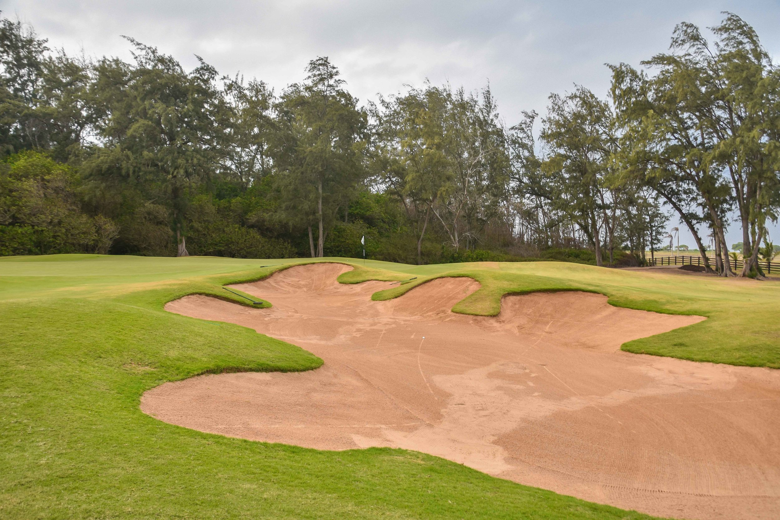 Turtle Bay - Palmer1-13.jpg