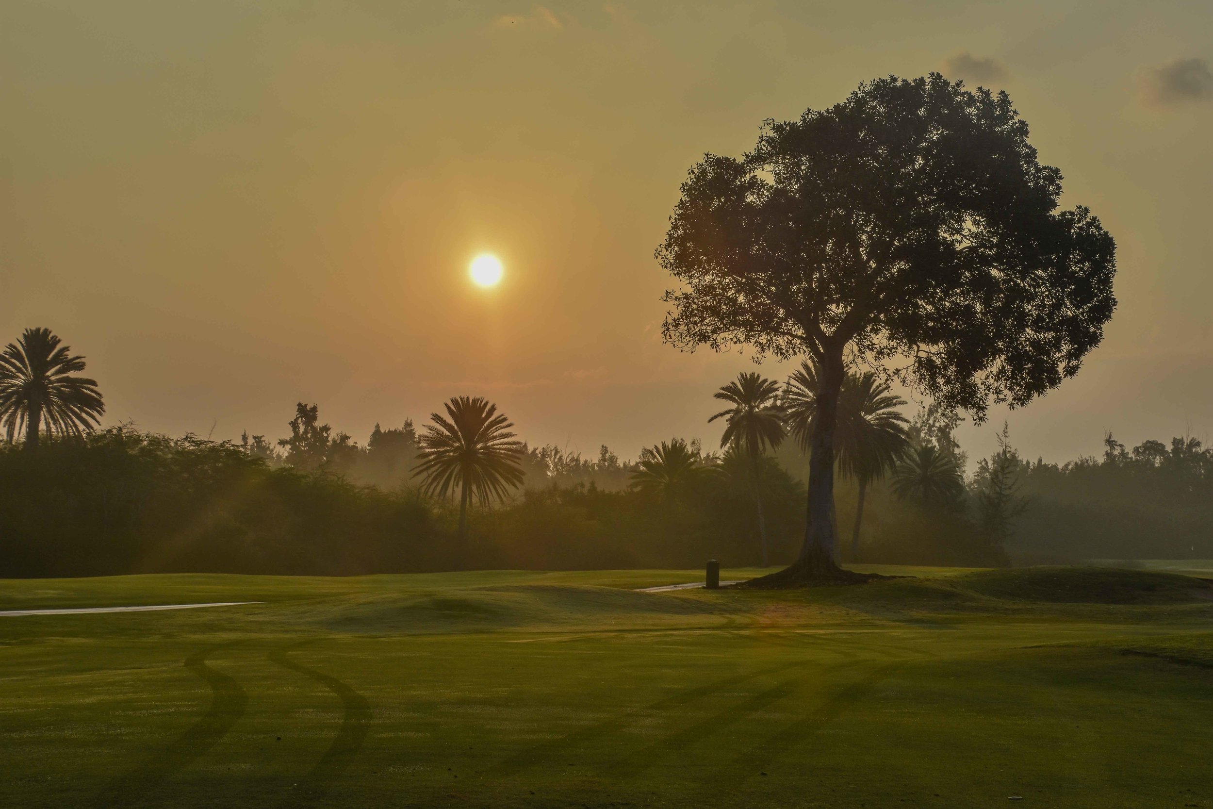 Turtle Bay - Palmer1-16.jpg