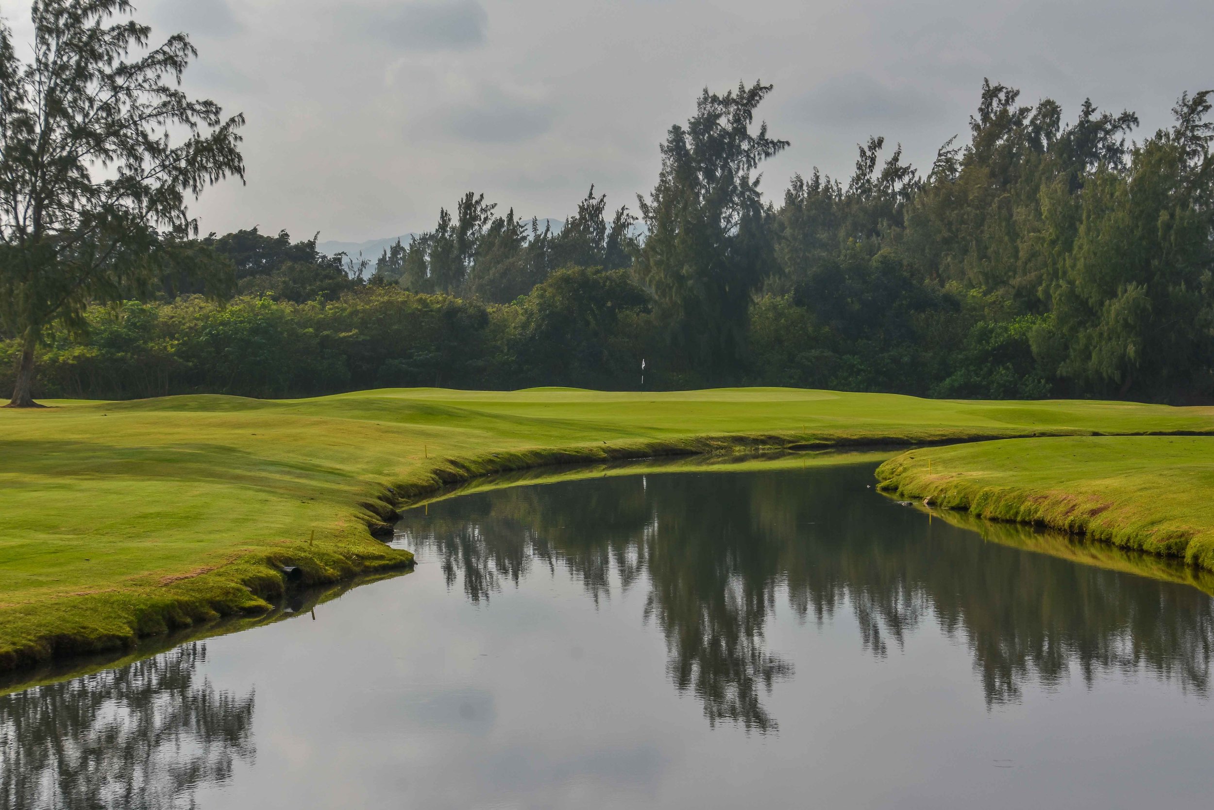 Turtle Bay - Palmer1-20.jpg