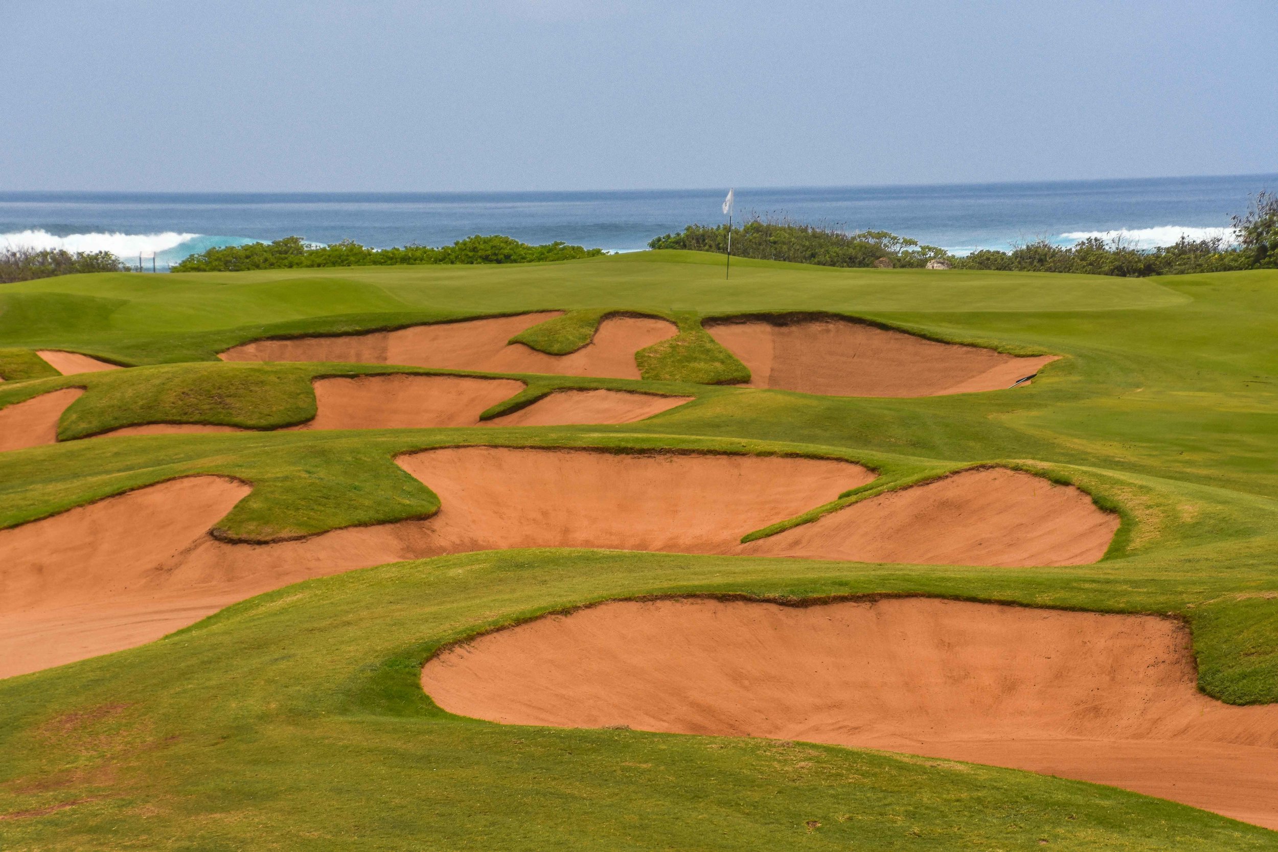 Turtle Bay - Palmer1-22.jpg