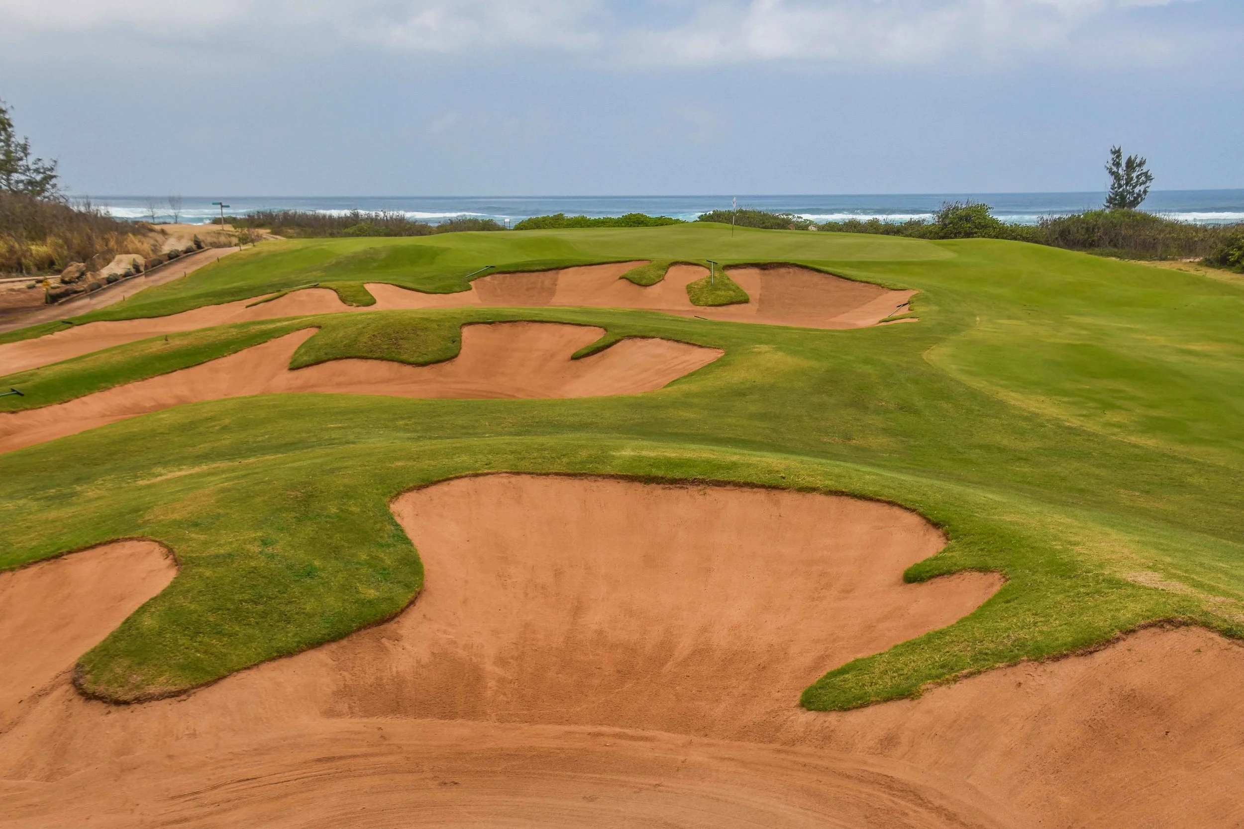 Turtle Bay - Palmer1-23.jpg