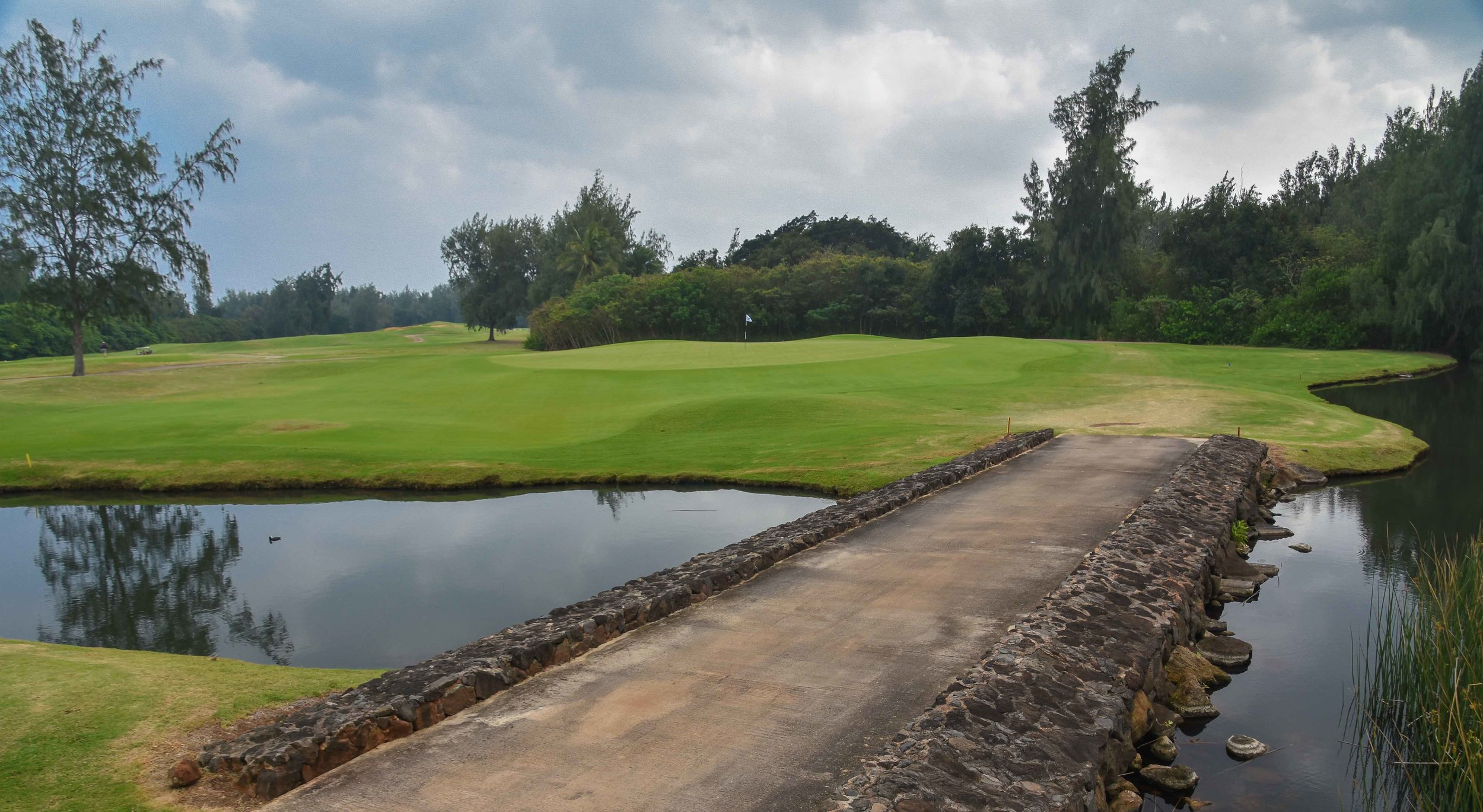 Turtle Bay - Palmer1-28.jpg
