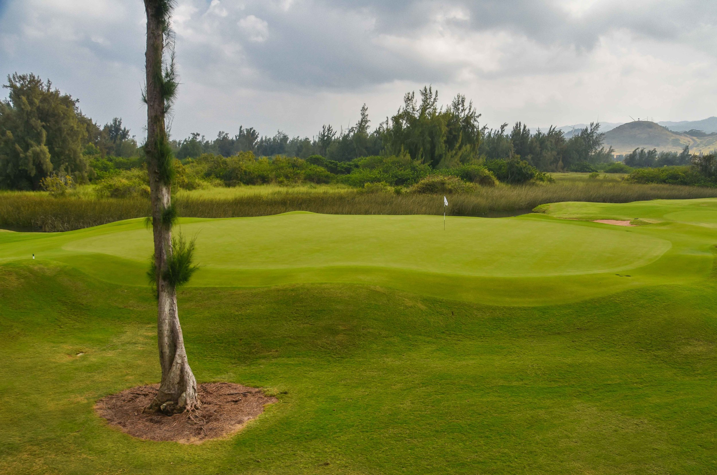 Turtle Bay - Palmer1-27.jpg