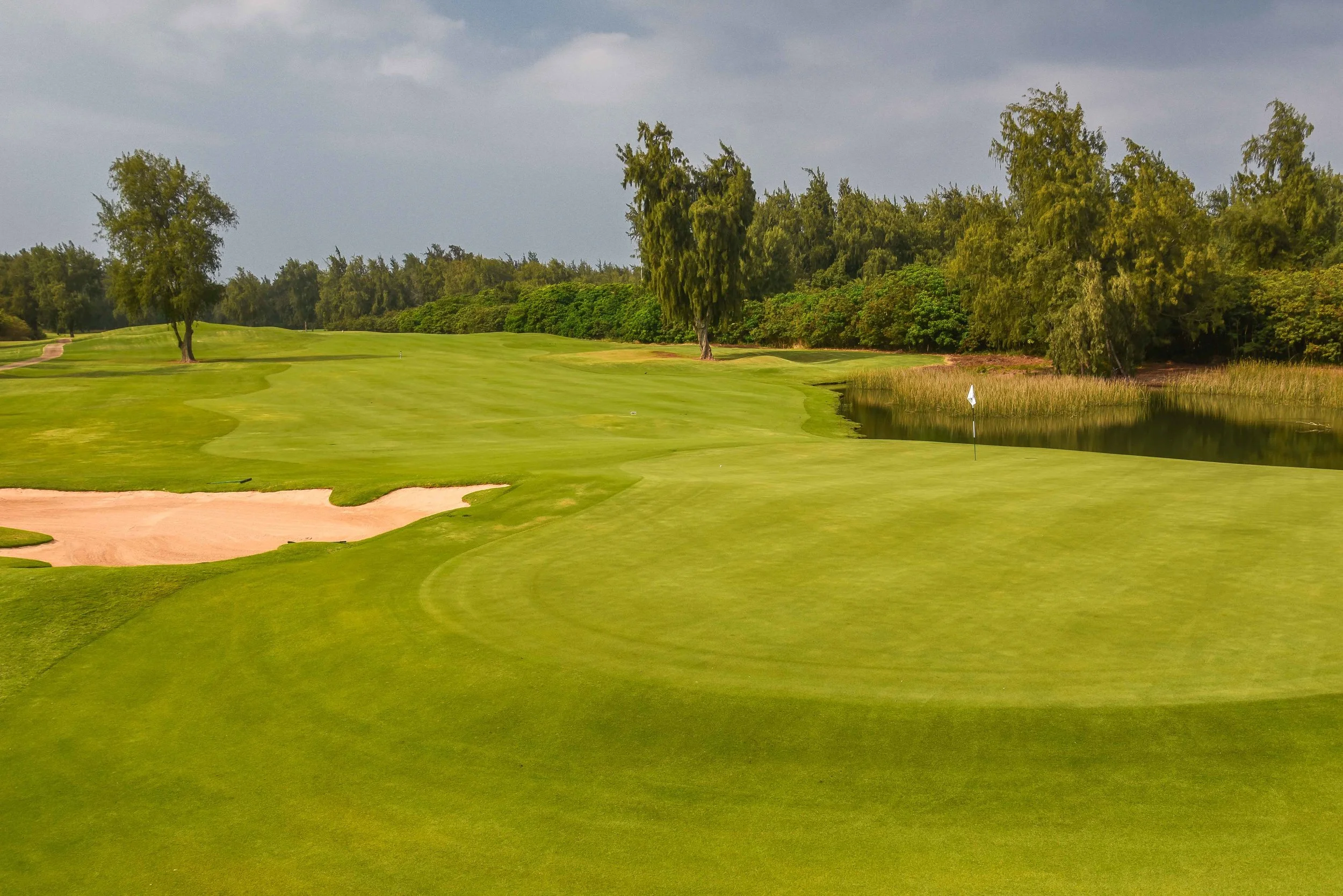 Turtle Bay - Palmer1-30.jpg