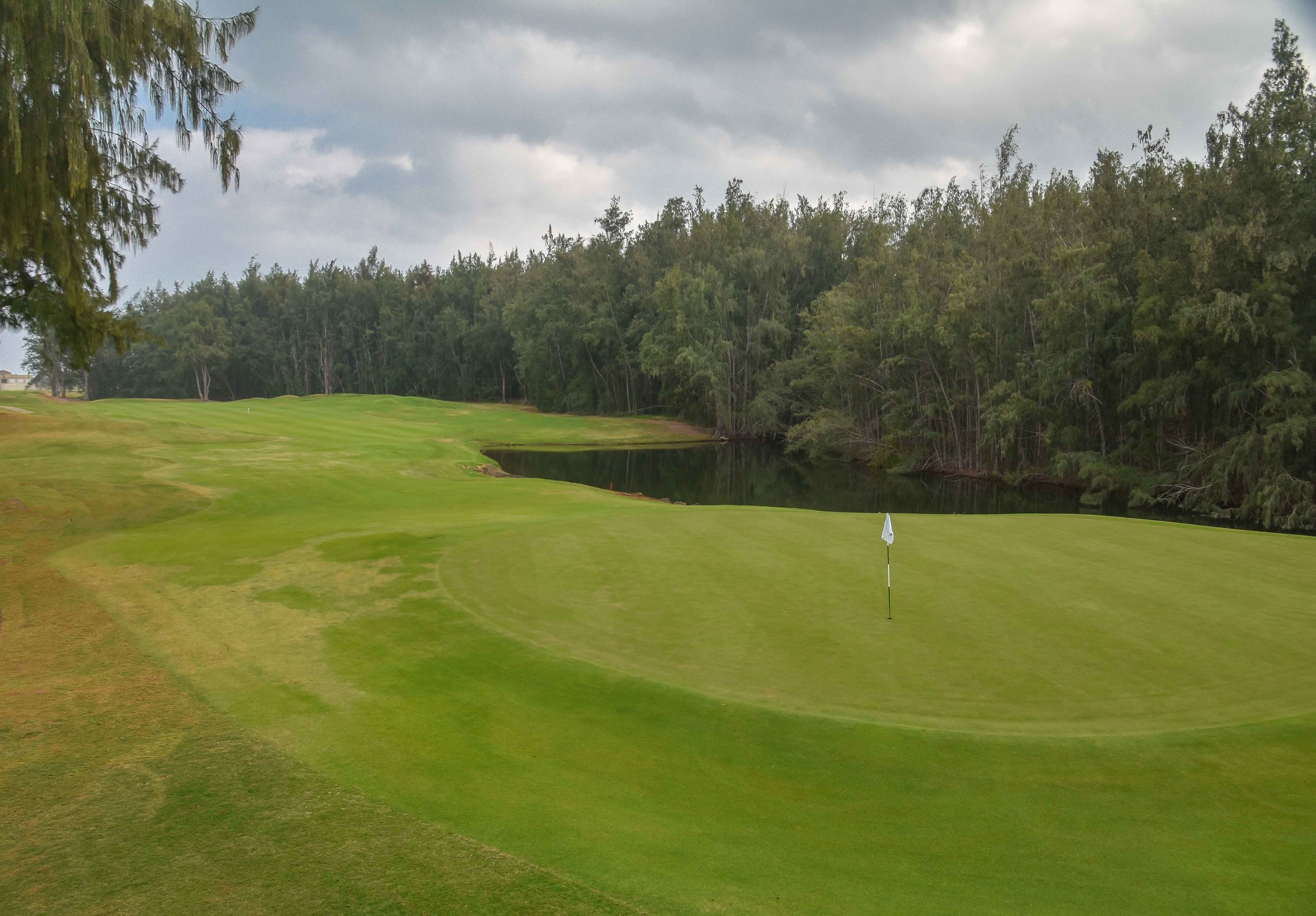 Turtle Bay - Palmer1-35.jpg
