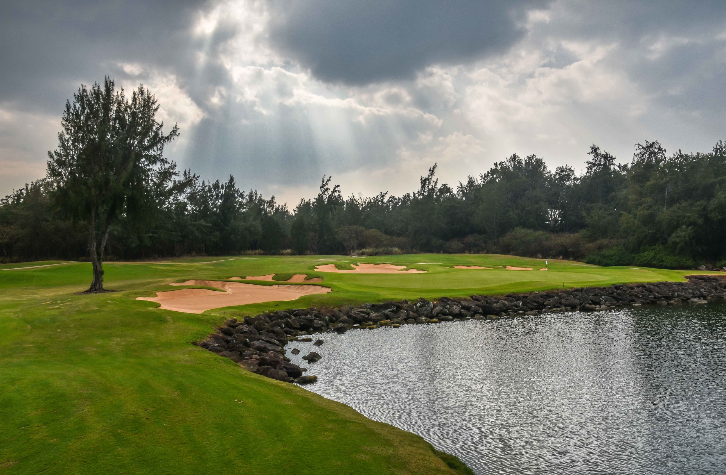 Turtle Bay - Palmer1-36.jpg