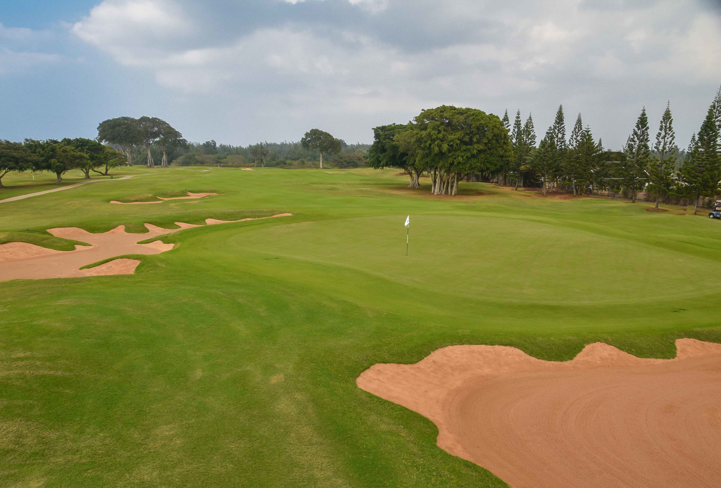 Turtle Bay - Palmer1-38.jpg