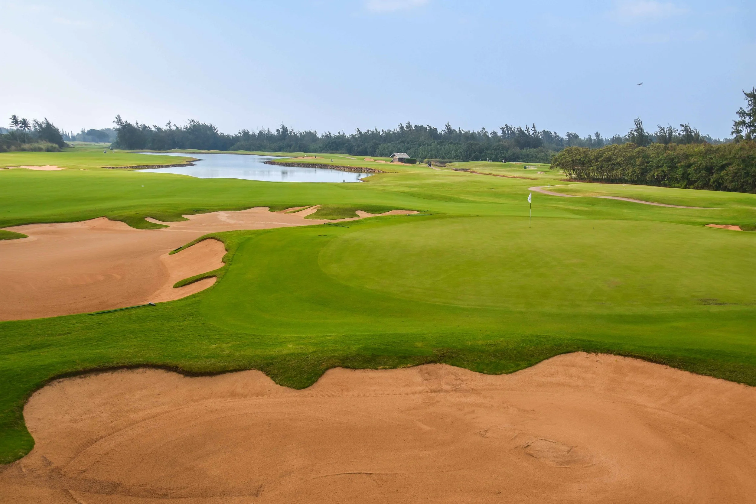 Turtle Bay - Palmer1-39.jpg