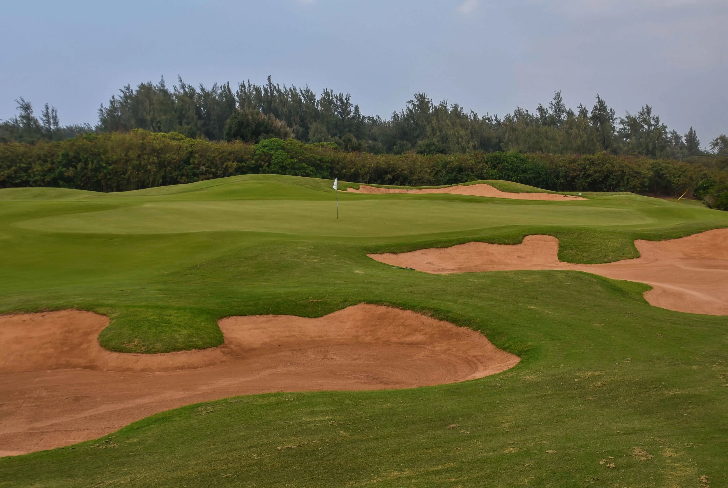 Turtle Bay - Palmer1-40.jpg