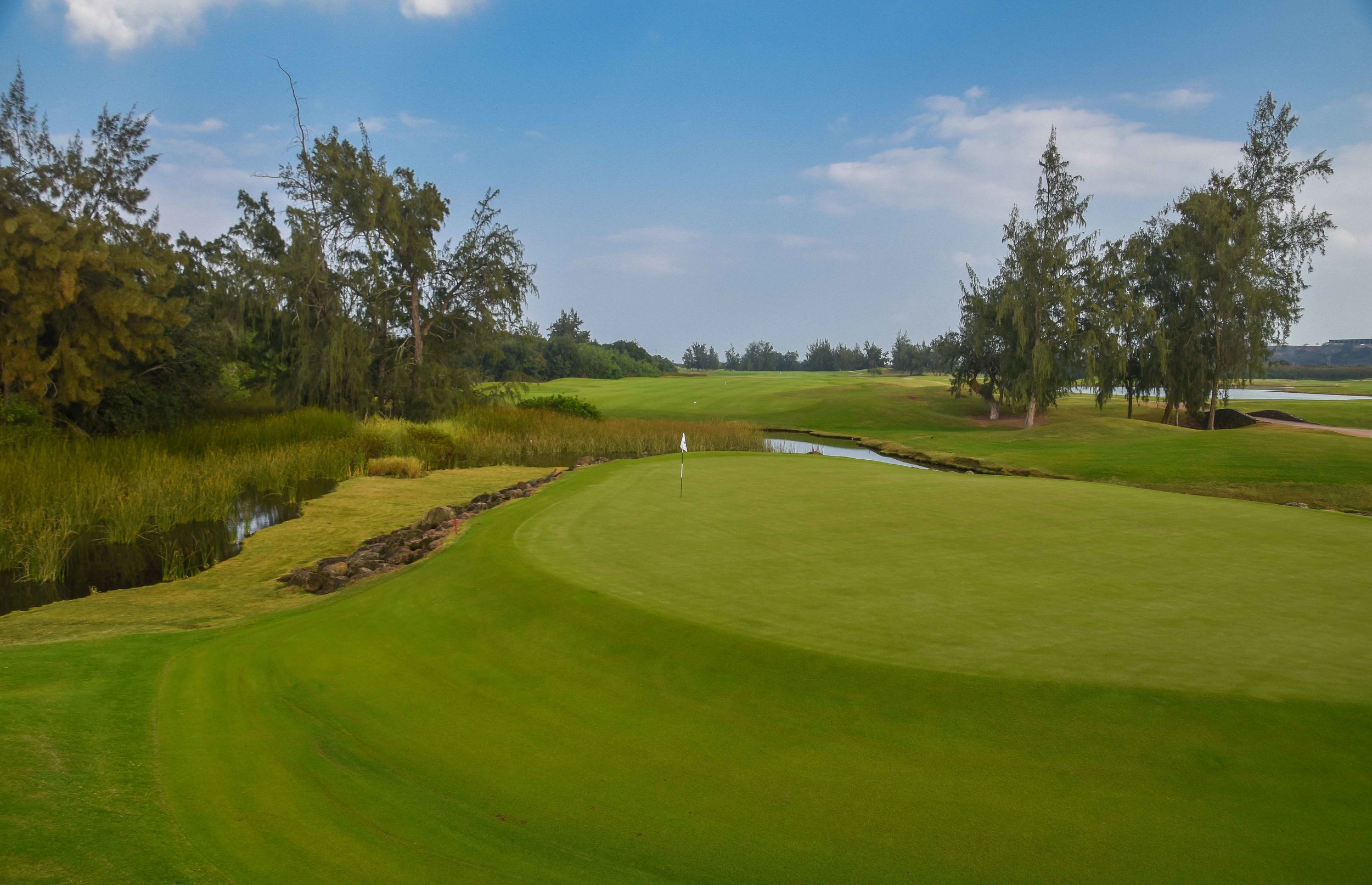 Turtle Bay - Palmer1-43.jpg