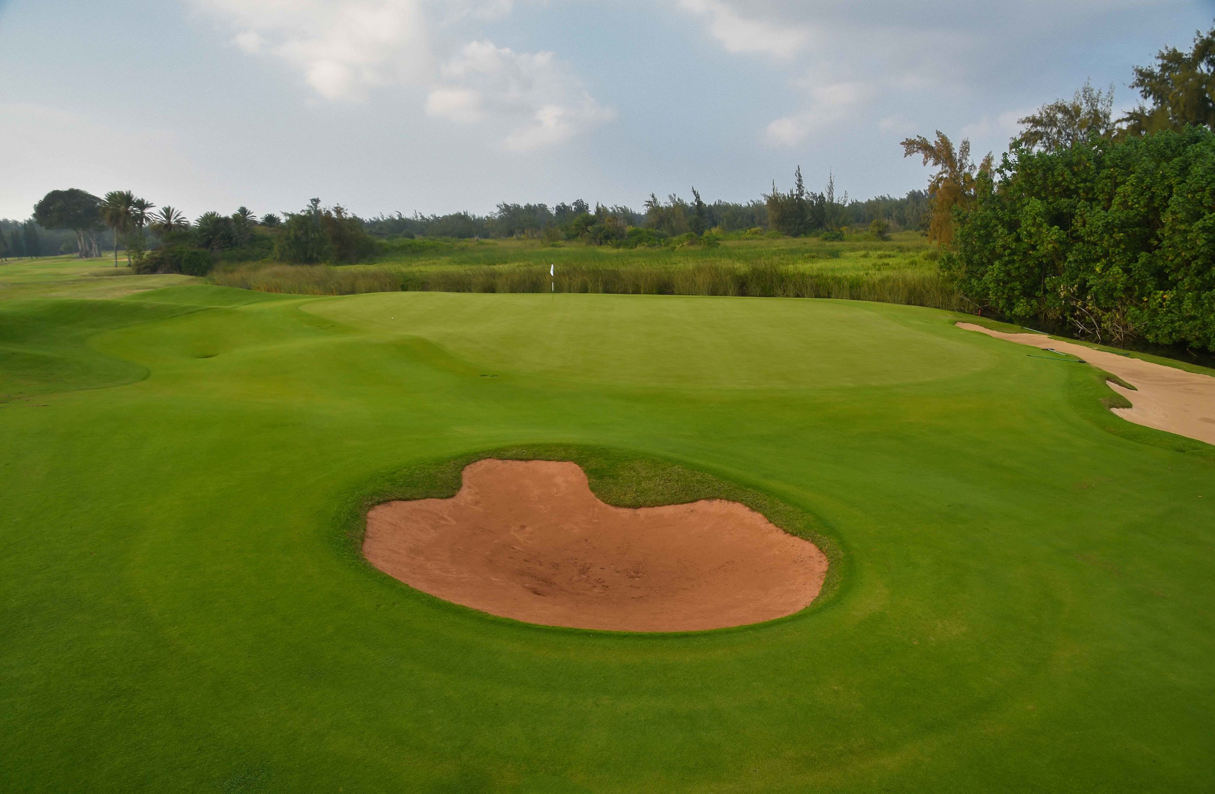 Turtle Bay - Palmer1-46.jpg