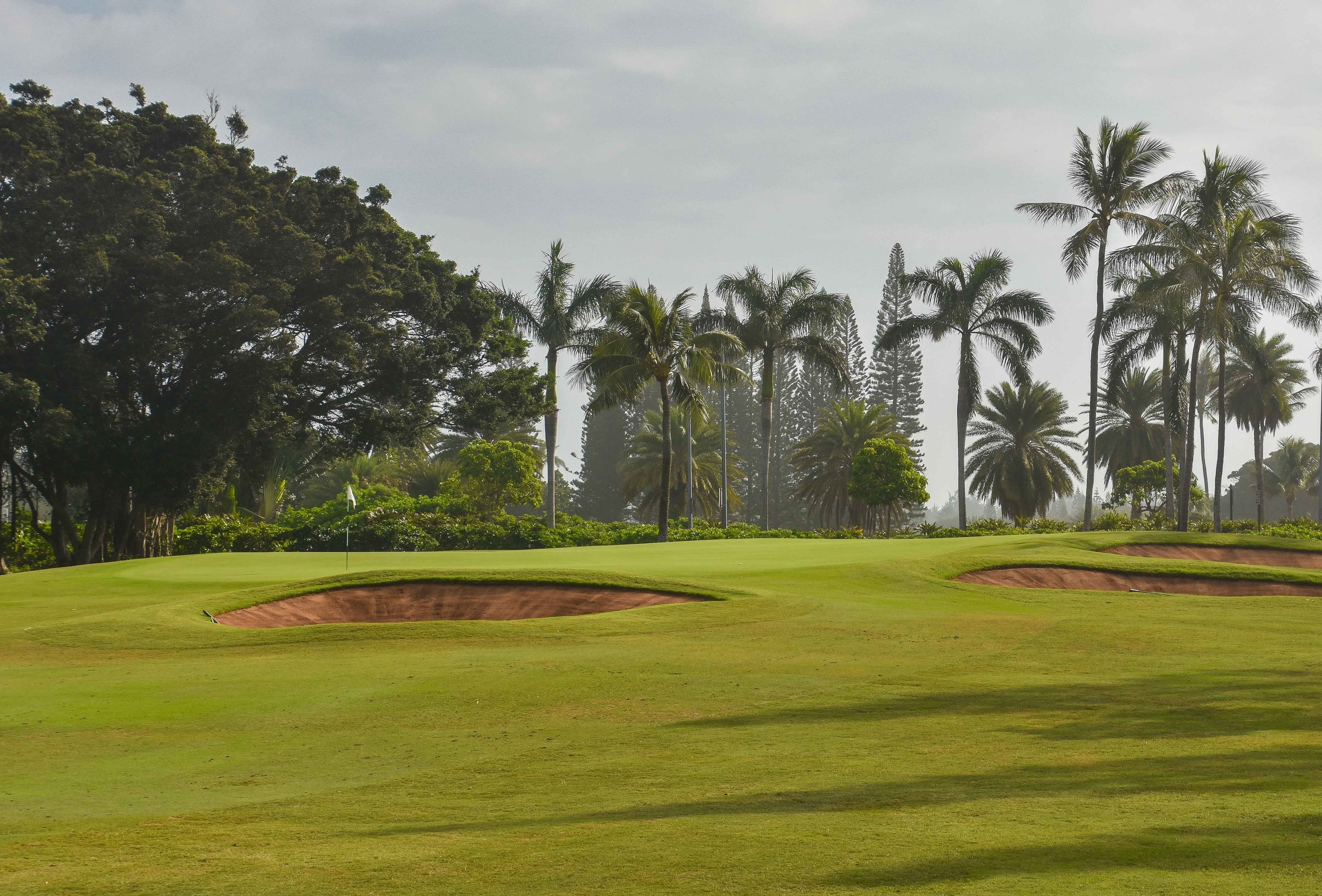 Turtle Bay - Fazio1-3.jpg