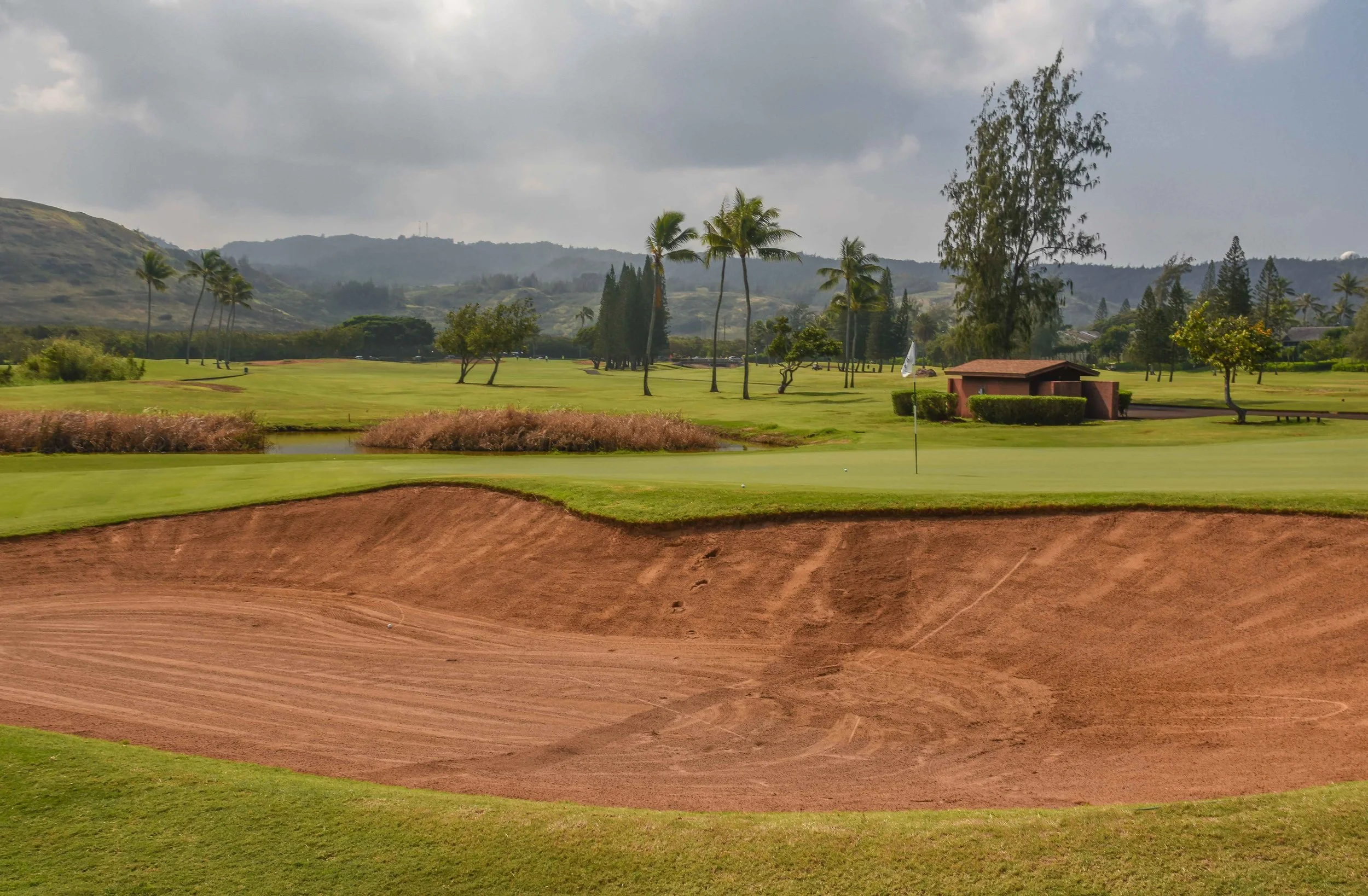 Turtle Bay - Fazio1-10.jpg