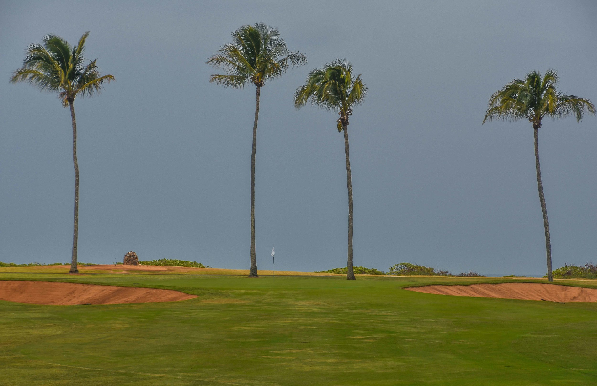 Turtle Bay - Fazio1-21.jpg