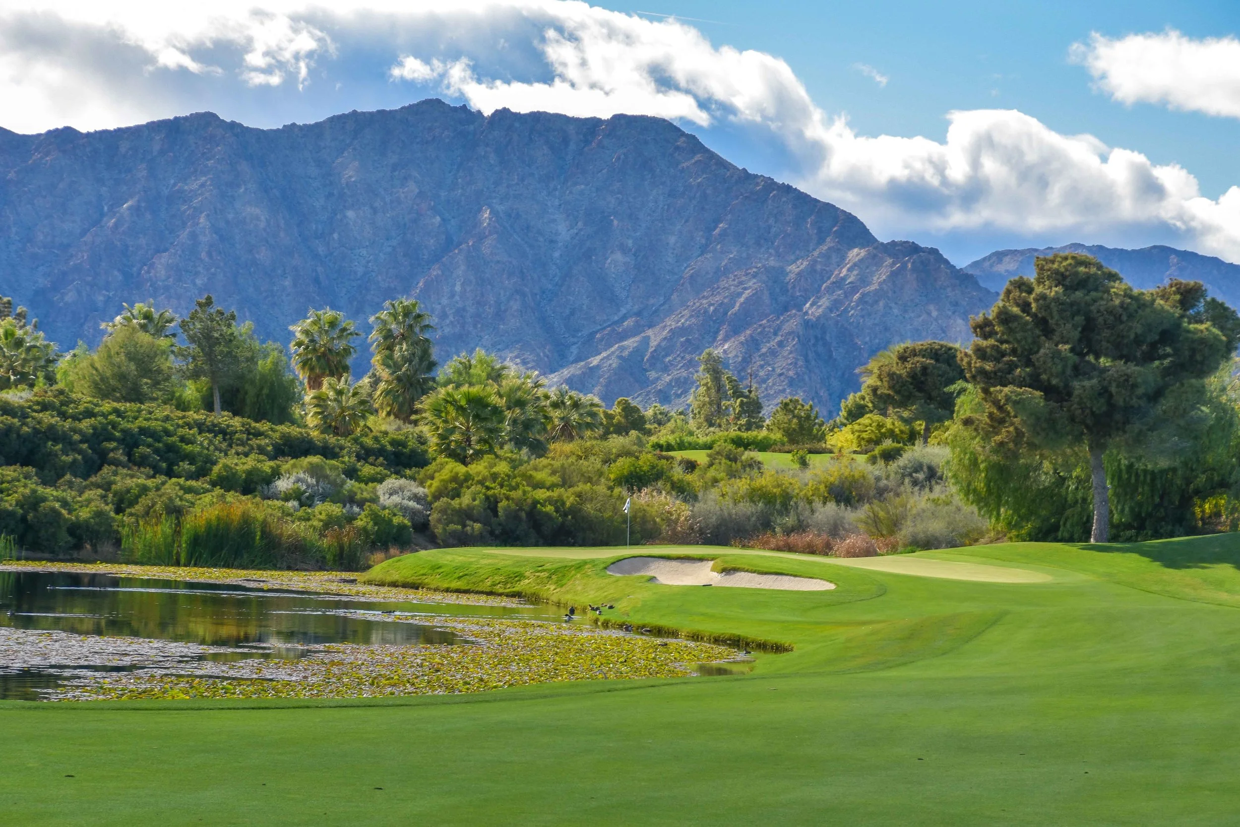 Madison Club1-74.jpg