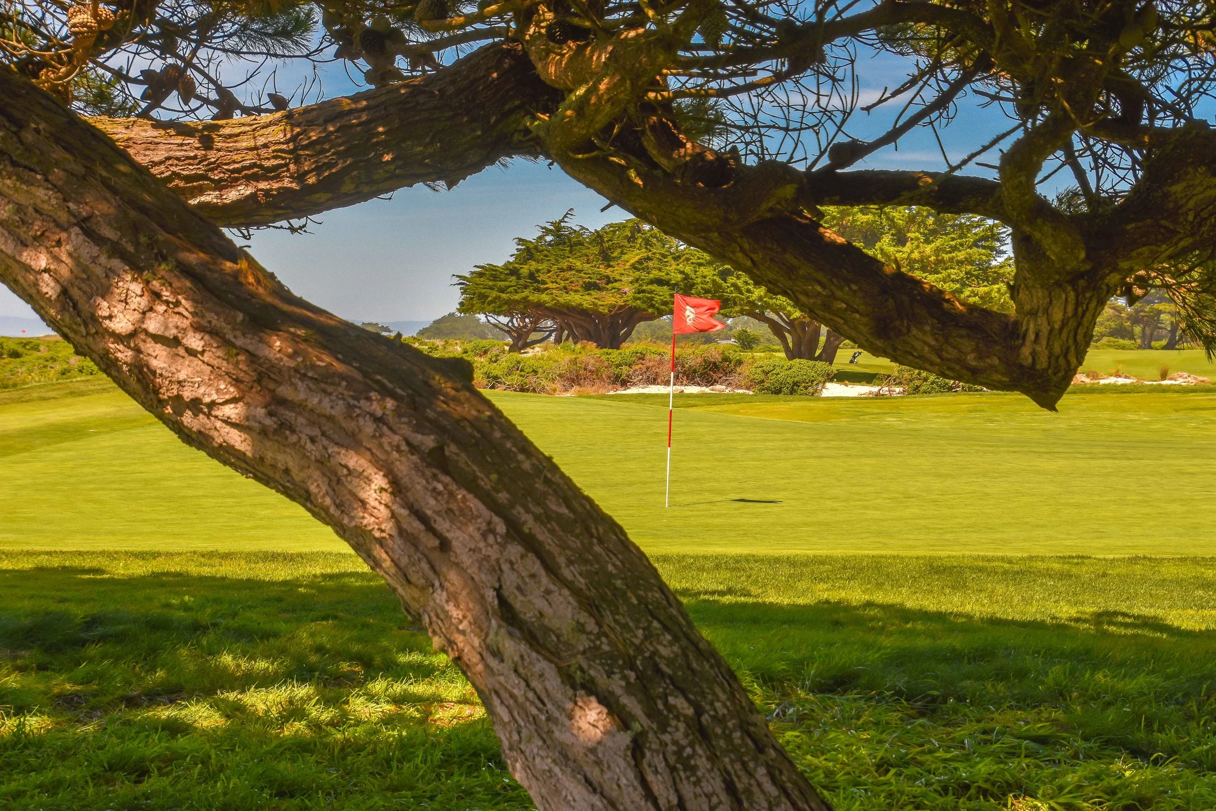 MPCC - Shore1-129.jpg