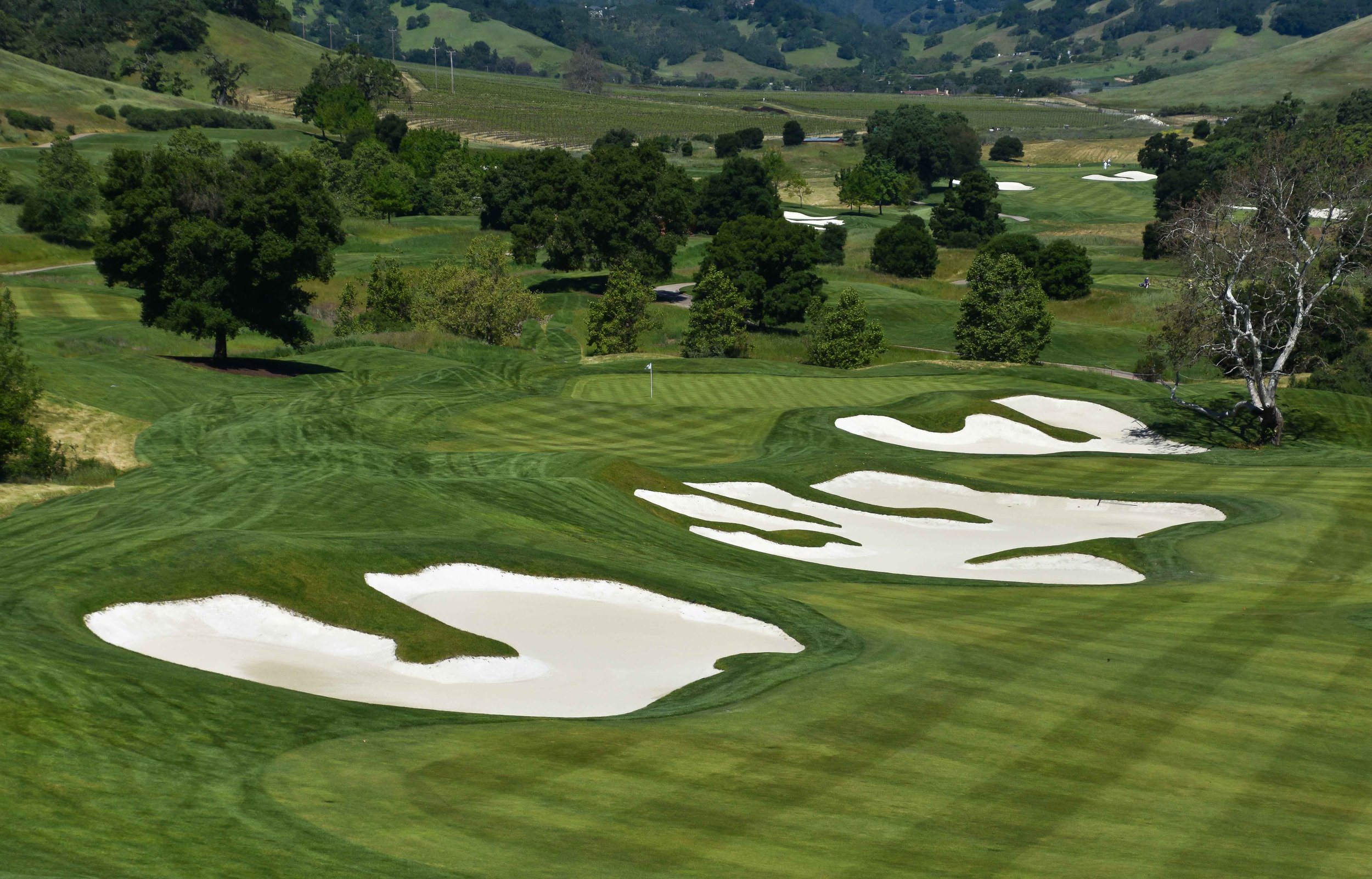 Cordevalle1-82 (1).jpg