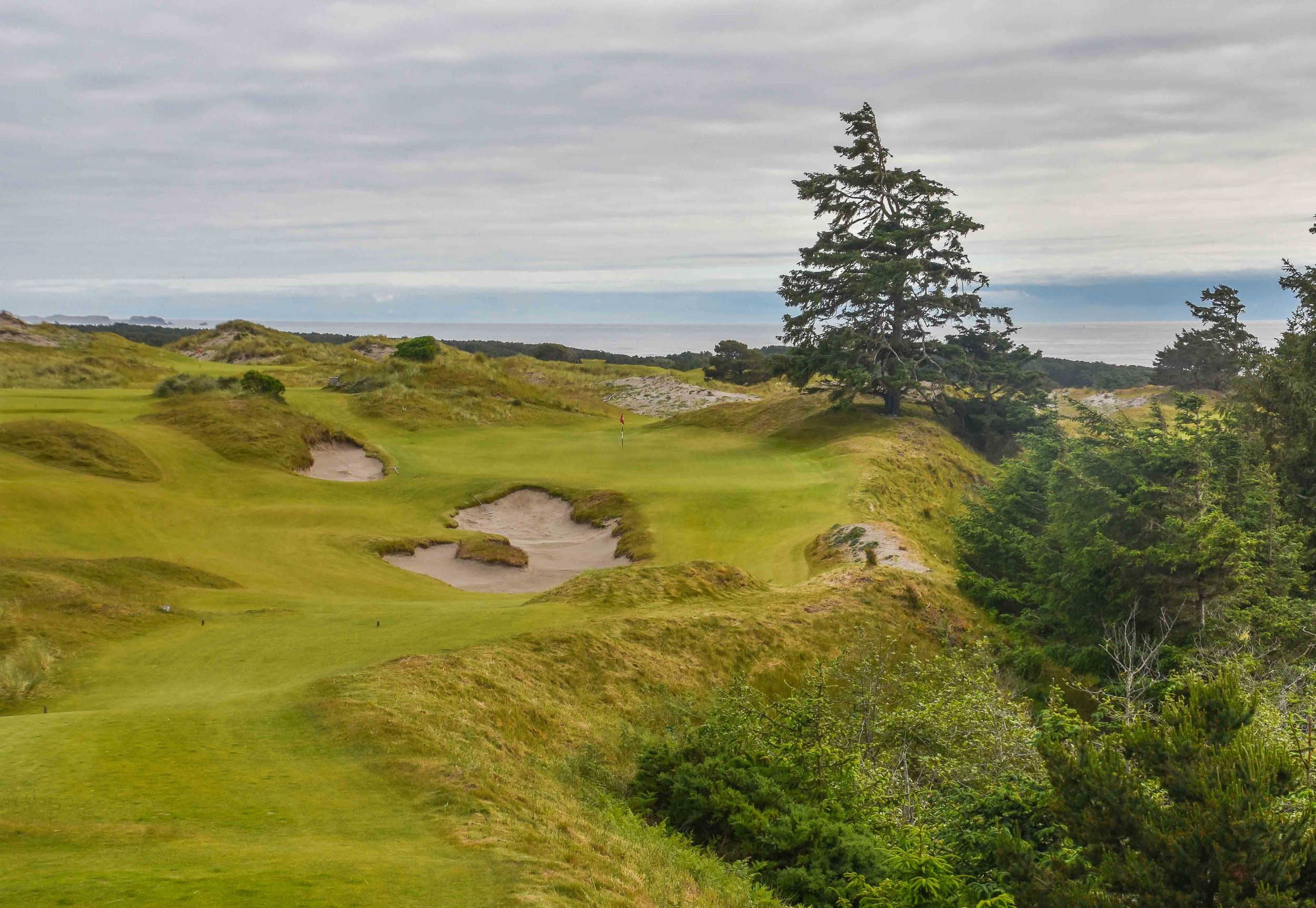 Bandon Preserve1-8.jpg
