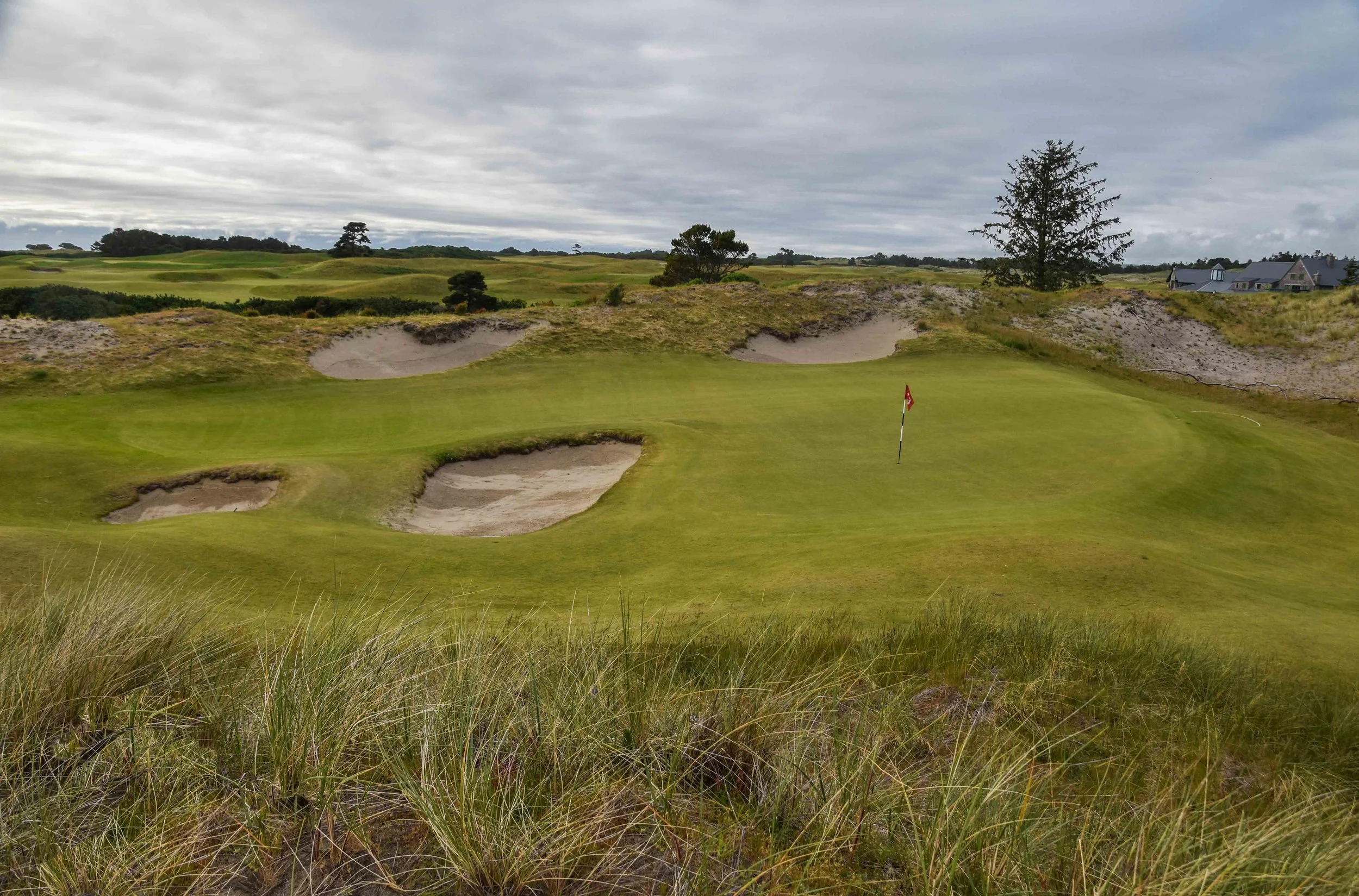 Bandon Preserve1-3.jpg