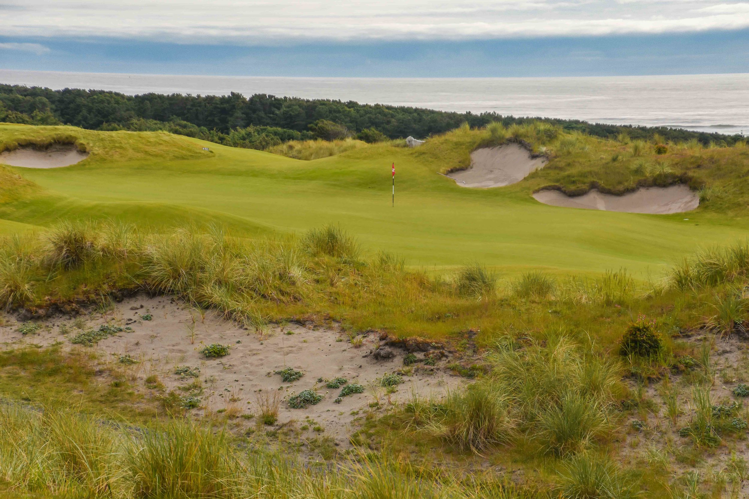 Bandon Preserve1-13.jpg