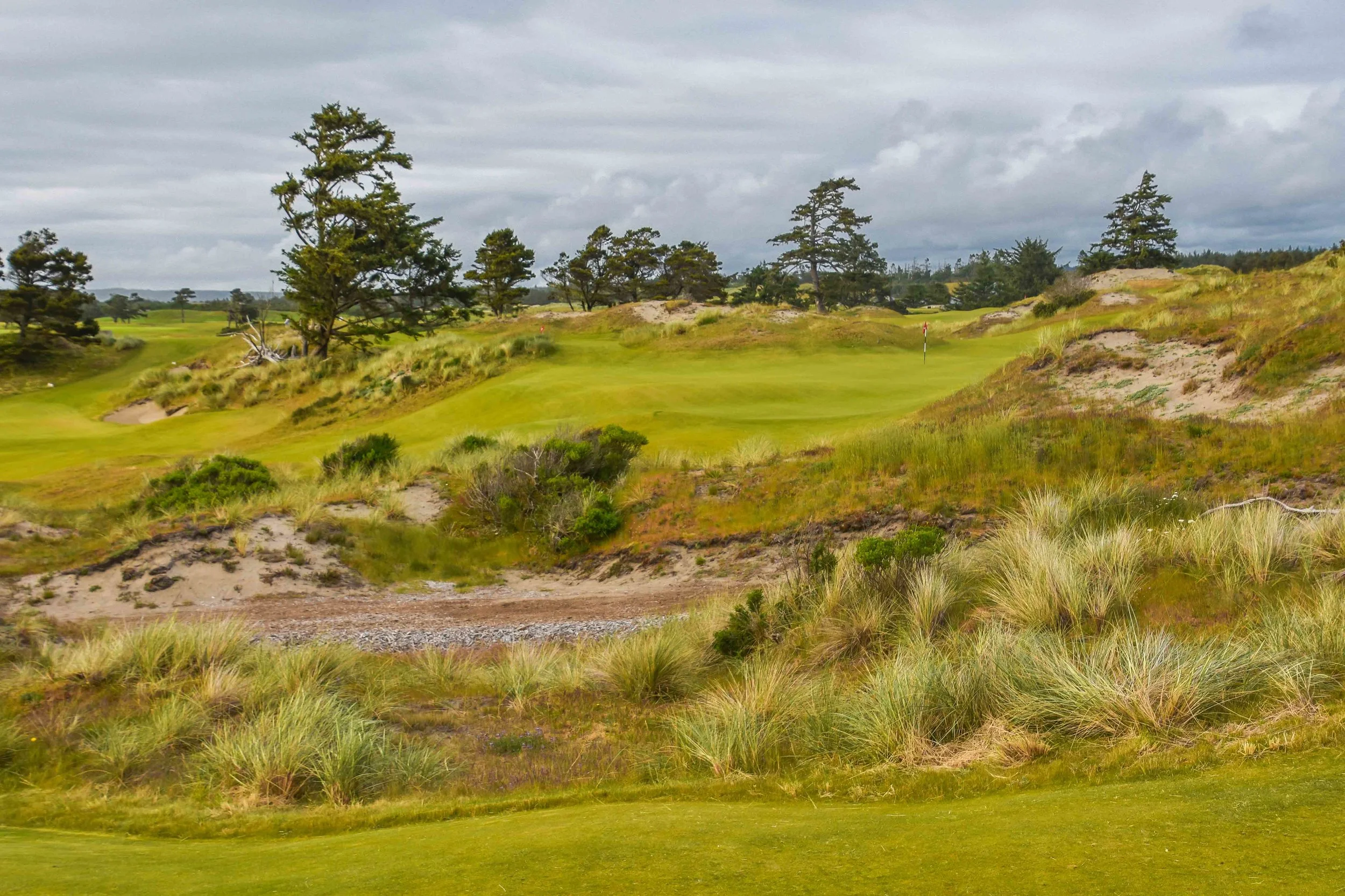 Bandon Preserve1-16.jpg