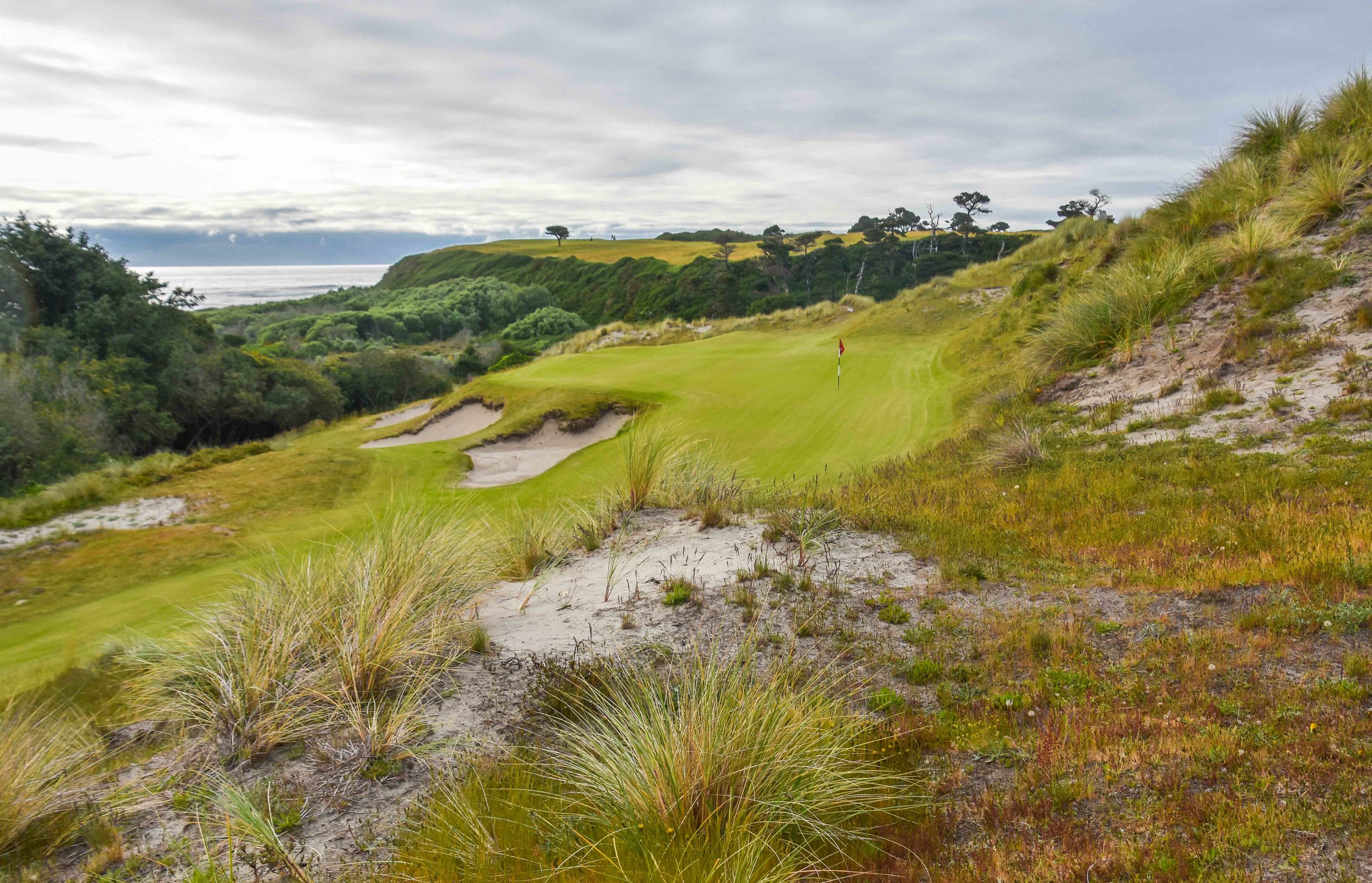 Bandon Preserve1-18.jpg
