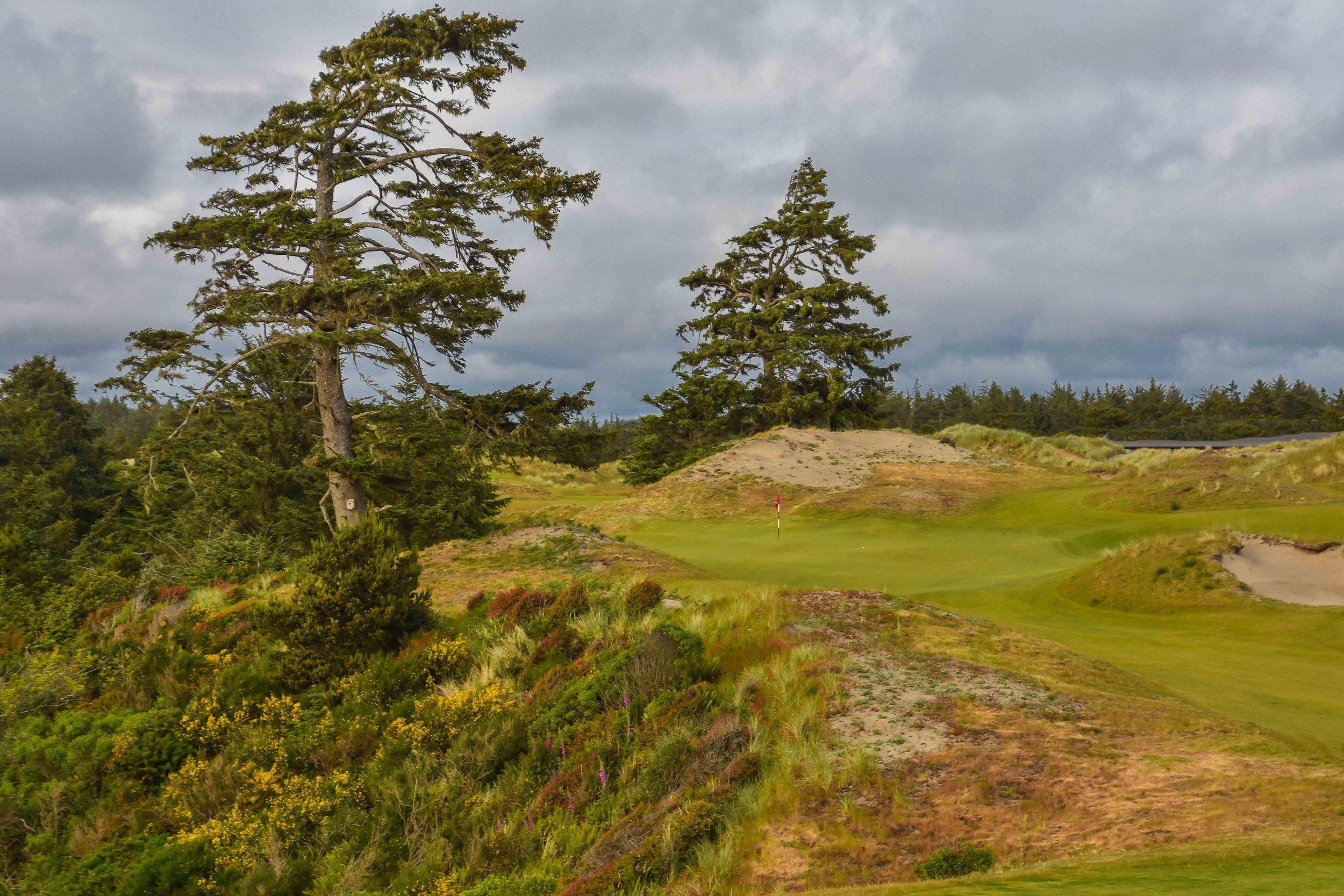 Bandon Preserve1-30.jpg