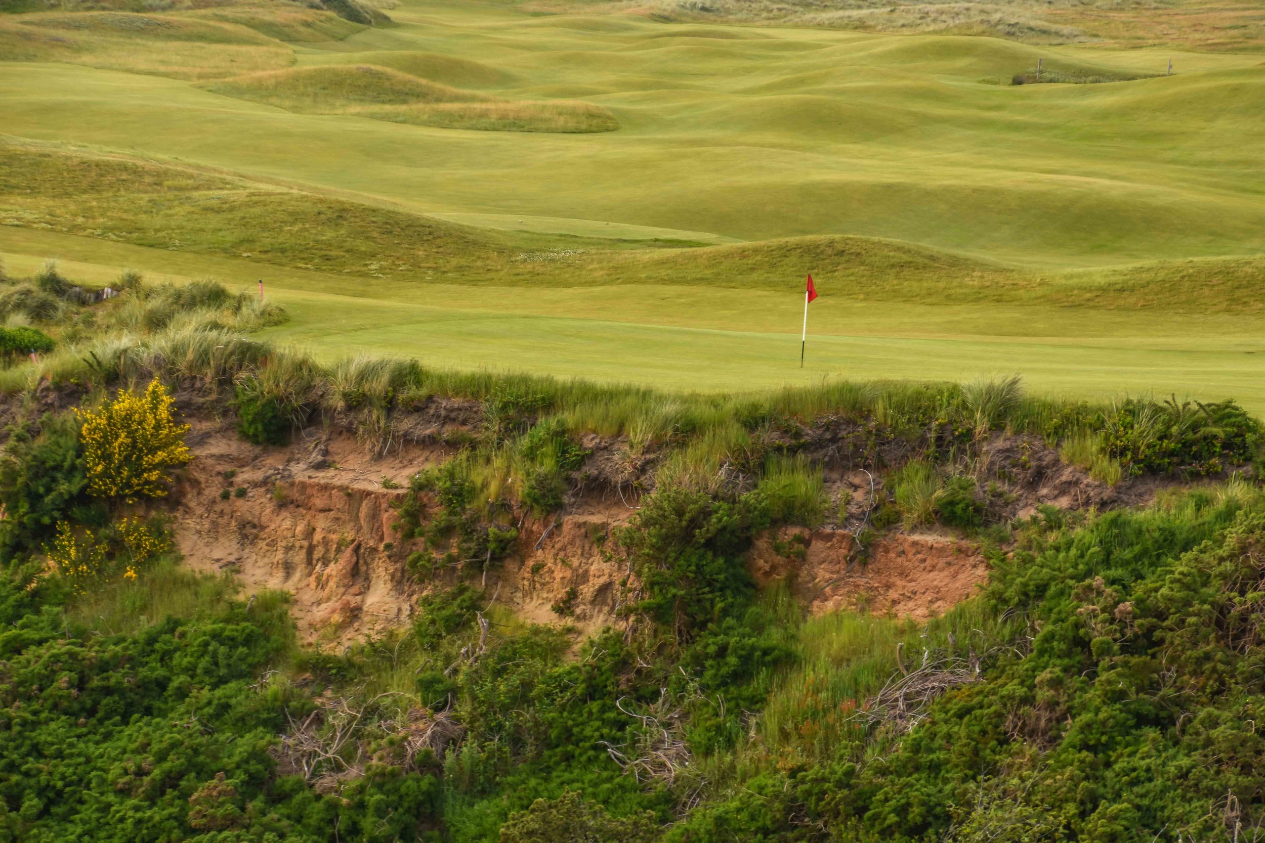 Bandon Preserve1-31.jpg
