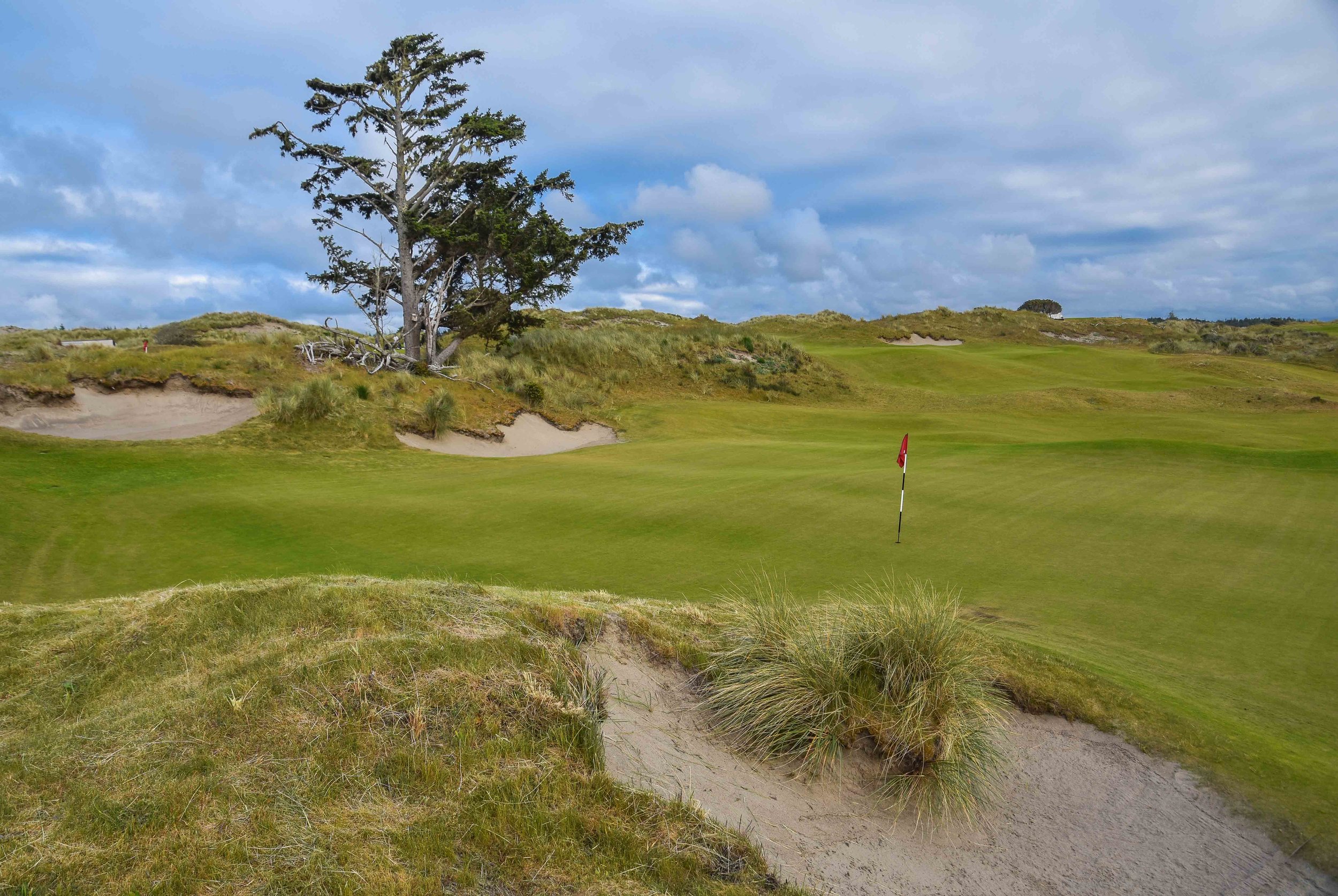 Bandon Preserve1-47.jpg