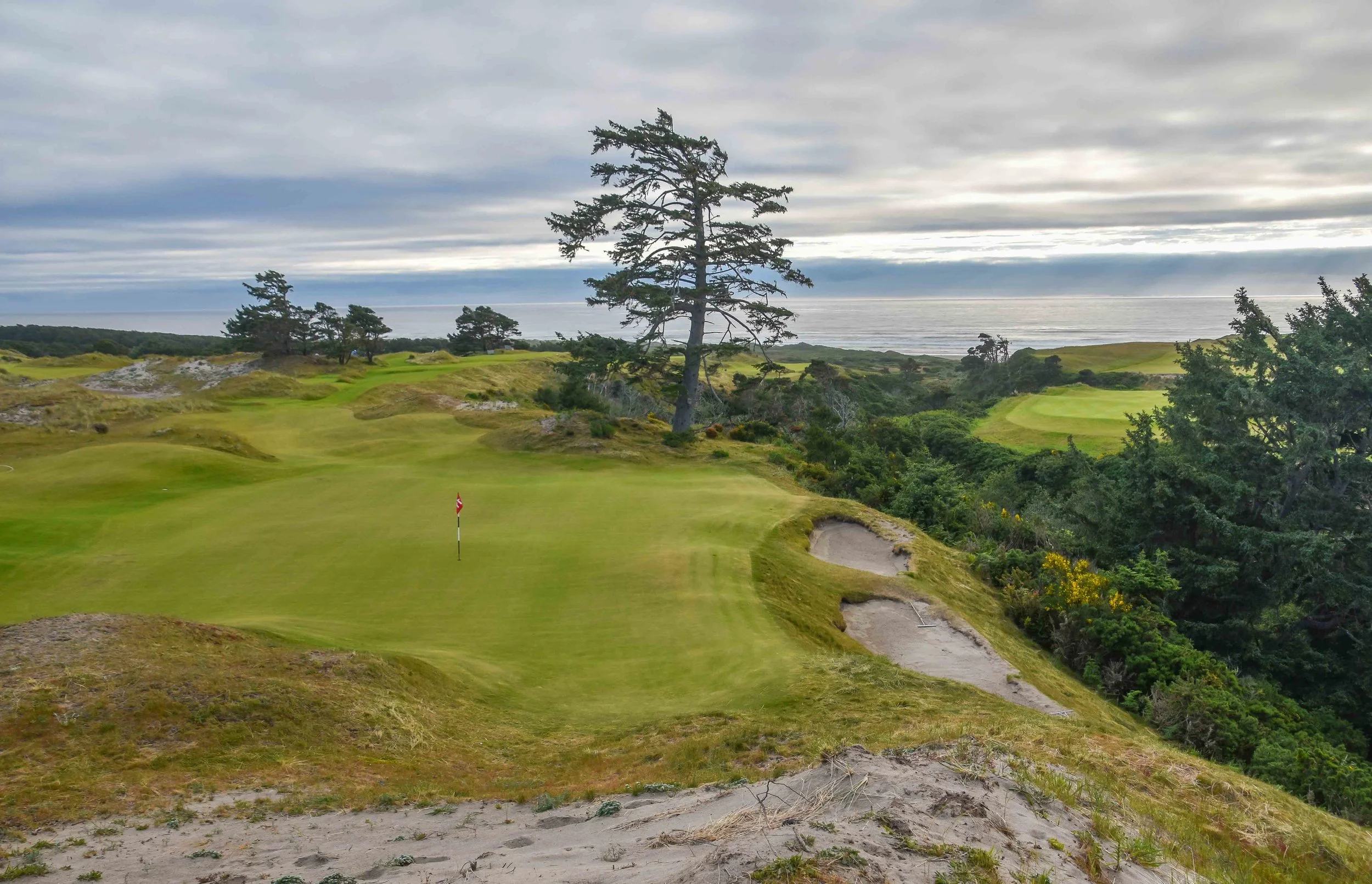 Bandon Preserve1-56.jpg