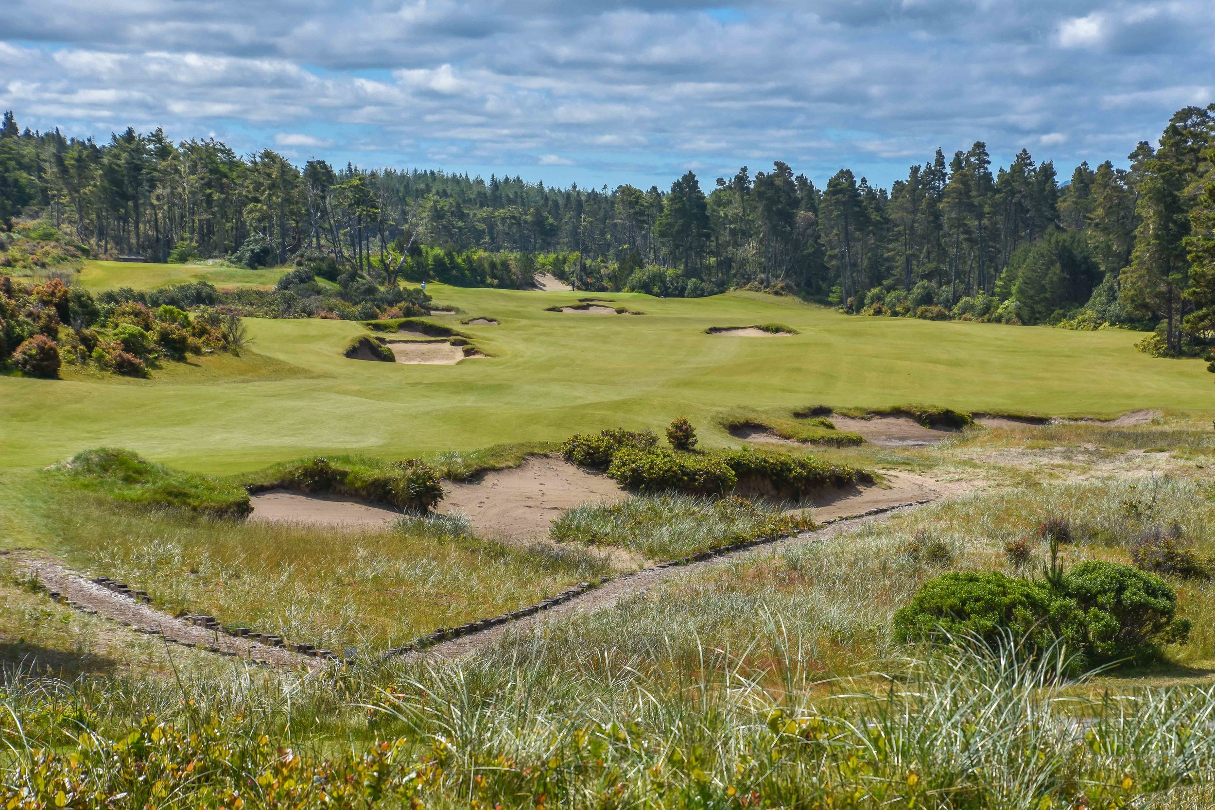 Bandon Trails1-12.jpg
