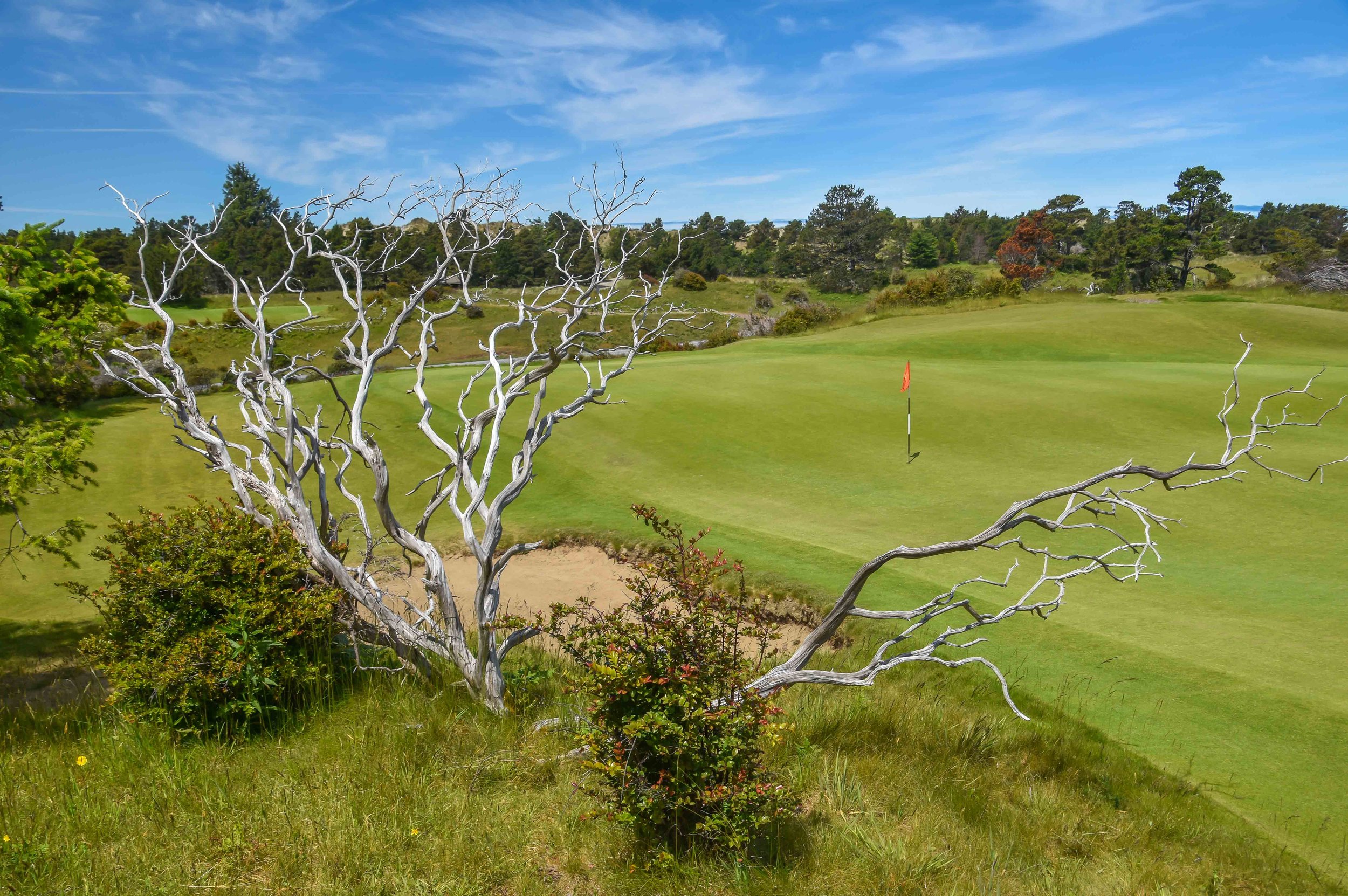 Bandon Trails1-20.jpg