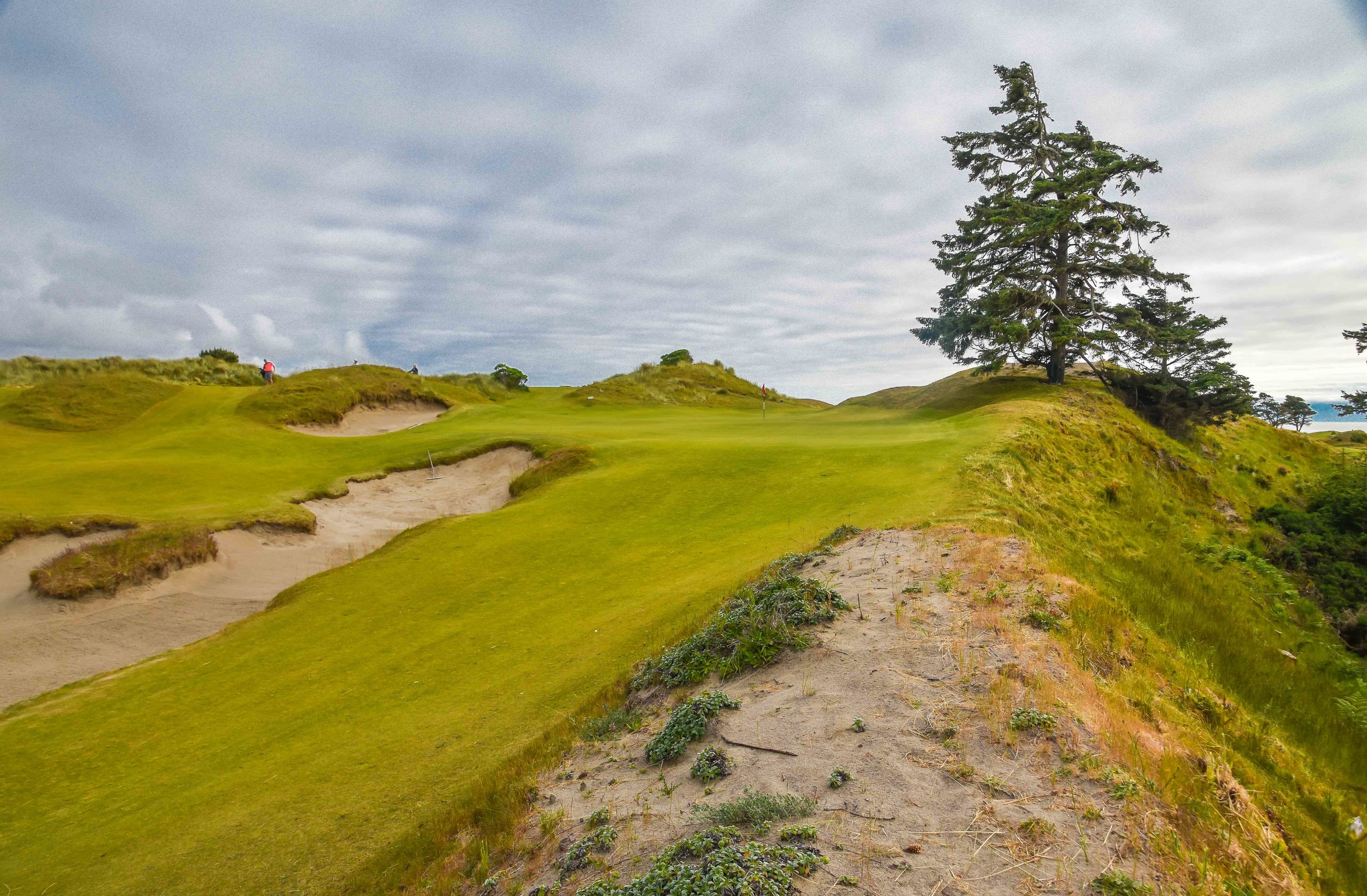 The 2nd hole at Bandon Preserve gets the golf juices flowing.