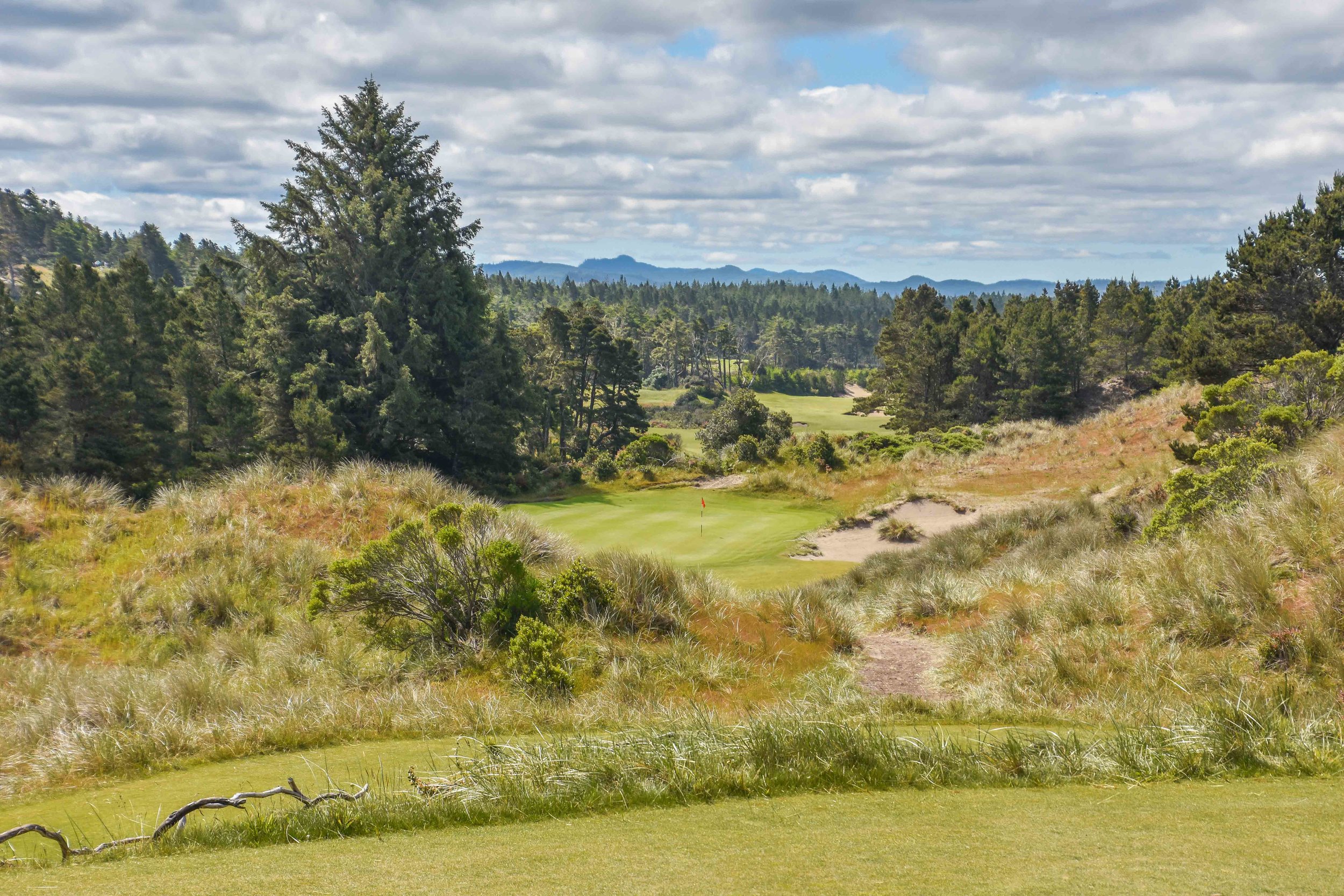 This is where we would drop out of the lead. #2 at Bandon Trails .